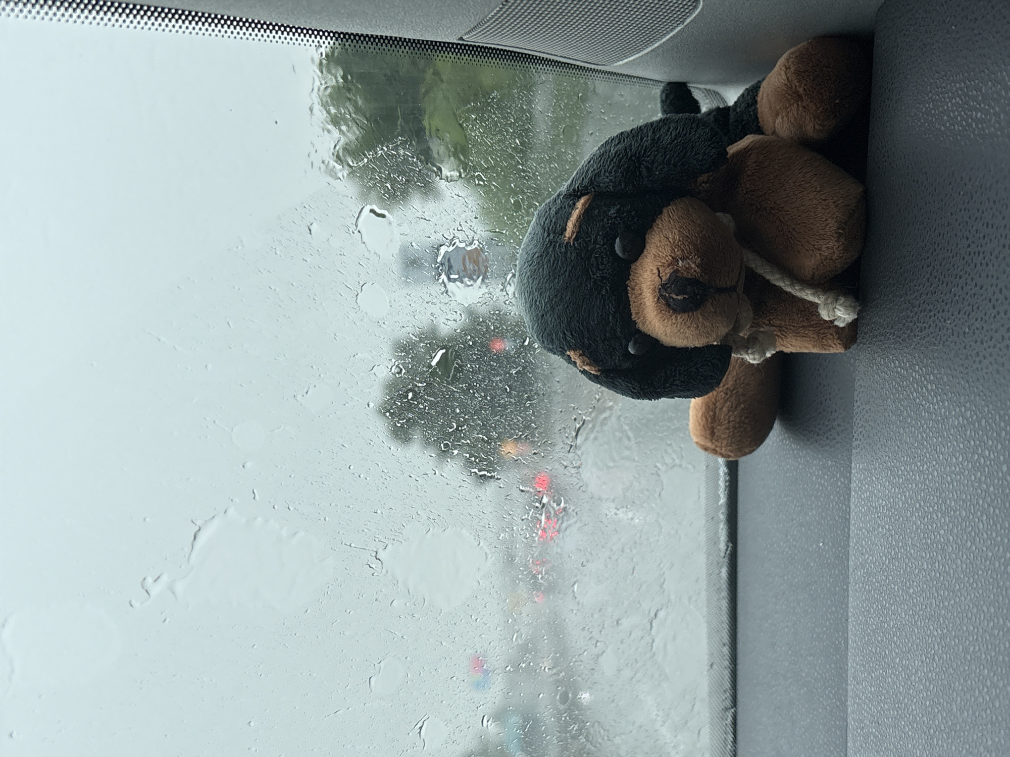 The image, taken in Burgas, Bulgaria, presents a view from inside a vehicle looking out through a rain-streaked windshield. A black and brown stuffed animal, resembling a dog or bear, is positioned on the right side of the frame, resting on what appears to be the car's dashboard or console. The plush toy has a black body, brown snout and paws, and a white cord tied around its neck.
The outside world is heavily blurred and obscured by numerous raindrops and streaks on the glass, indicating heavy rain. Through the wet windshield, an urban or suburban street scene is discernible. Blurred red lights, likely from traffic signals or vehicle taillights, are visible in the distance, along with indistinct shapes of trees and buildings. The interior of the vehicle, seen on the right, features a dark gray, textured surface. A dotted black strip is visible along the top edge of the windshield, typical of automotive glass. The scene conveys a sense of being inside a cozy environment during inclement weather. There is no visible text in the image.