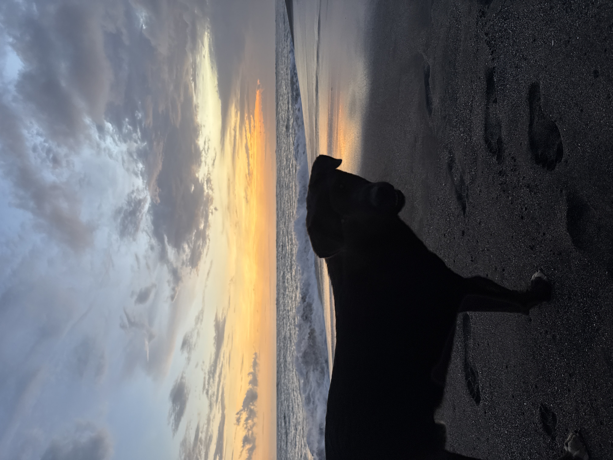A silhouetted dog stands on a black sand beach in Mengwi, Indonesia, as the sun sets. The sky features gray and gold clouds. The ocean's waves lap the shore. Footprints are visible in the sand near the dog.