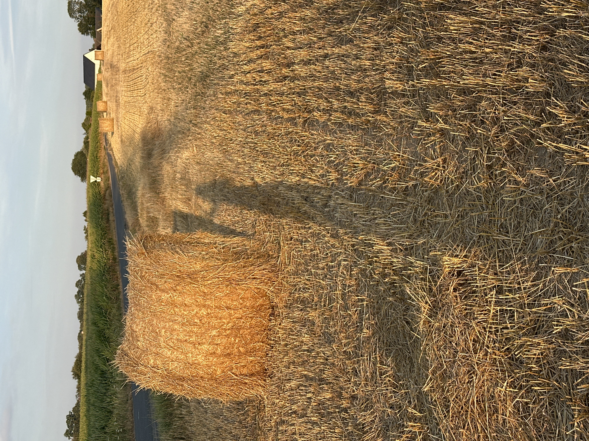 The image depicts a rural landscape bathed in the warm light of a setting sun. A large, round bale of golden hay sits prominently in the foreground on a field of stubble. To the left of the hay bale, a long, distinct shadow of a person holding a camera is cast across the field, indicating the photographer's presence. In the background, a paved road curves through fields, separating a lush green crop from the harvested golden field. Further in the distance, several more hay bales are scattered across the landscape. A white building with a dark roof, possibly a house or farm structure, is visible on the right side of the image. The sky above is a soft blue with wispy clouds. The scene is consistent with agricultural land in the commune of Trouville-Alliquerville, France, likely during harvest season.