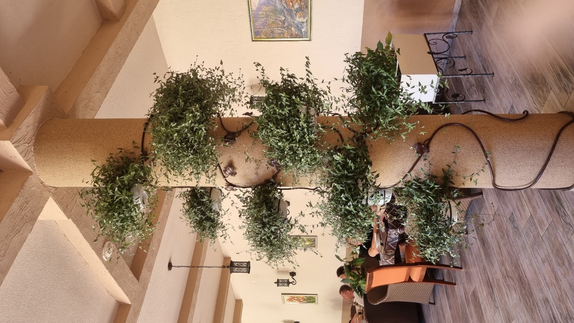 An indoor scene, possibly a restaurant or cafe, in Mukachevo, Ukraine, features a tall, textured, beige pillar adorned with a spiral arrangement of planters overflowing with lush green vines. The pillar is wrapped with decorative dark metal scrollwork that supports the white planters. Behind the pillar, a dining area is visible with tables, chairs, and diners. To the left, several people are seated at tables, engaged in conversation. An orange chair is prominently placed in the foreground. The ceiling is accented with textured, beige beams. A dark, ornate lantern hangs from the ceiling to the left, and decorative wall sconces are also visible. On the wall to the right, a landscape painting in a gold frame hangs. The floor is covered with wooden planks. Another planter with white wicker detailing and a black metal stand is positioned to the right of the pillar.