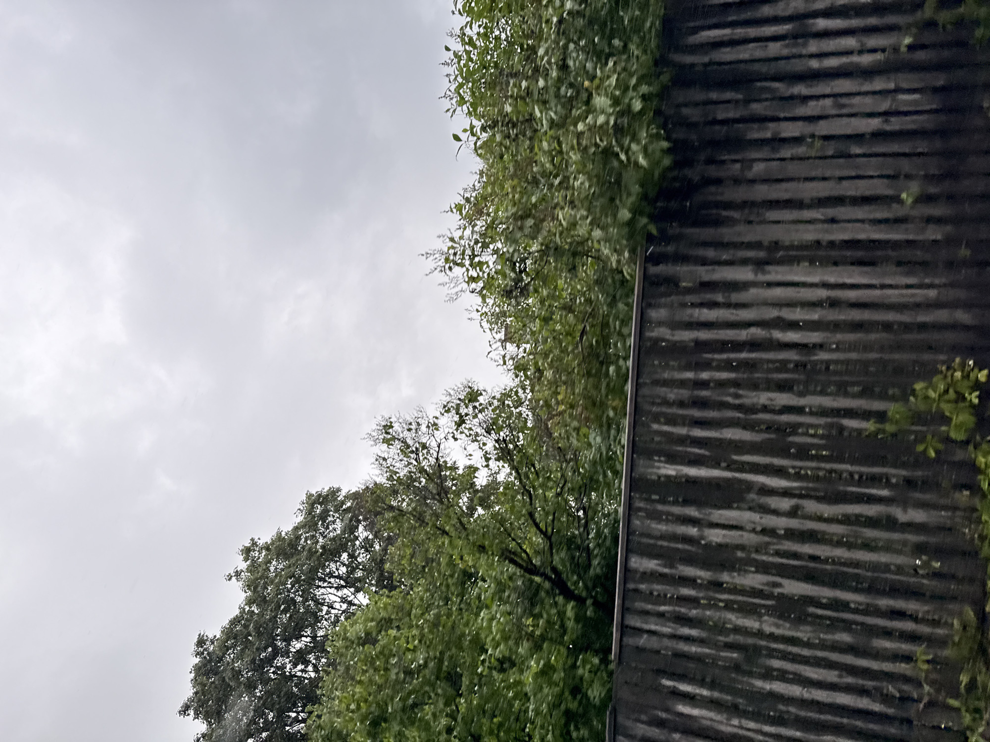 The image depicts a weathered, vertical wooden fence in the foreground. Behind the fence, lush green trees and foliage are visible, suggesting an outdoor setting. The sky is overcast with a grey, cloudy appearance, indicating potentially gloomy weather. There is no discernible location within the city of Tallinn, Estonia, mentioned in the image. No people, actions, or interactions are depicted.