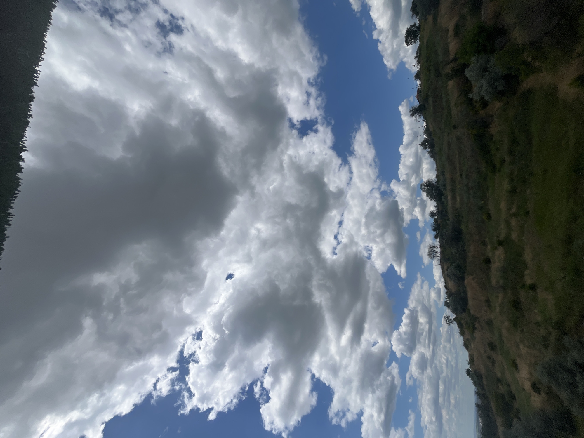 The image depicts a panoramic view of a grassy hillside under a cloudy sky, likely taken in the city of Varna, Bulgaria. The foreground is dominated by the slope of the hill, covered in dry, yellowing grass and scattered green bushes. Several small trees are visible on the crest of the hill, with some appearing bare and others with sparse foliage. A small building with a reddish roof can be seen on the summit of the hill. The sky above is a mix of bright blue patches and large, dramatic grey and white clouds. In the far distance, a hazy landscape suggests the presence of a city or more developed area. The perspective is from a slightly elevated position, looking up towards the hillside and the sky. There are no people or animals visible in the scene.