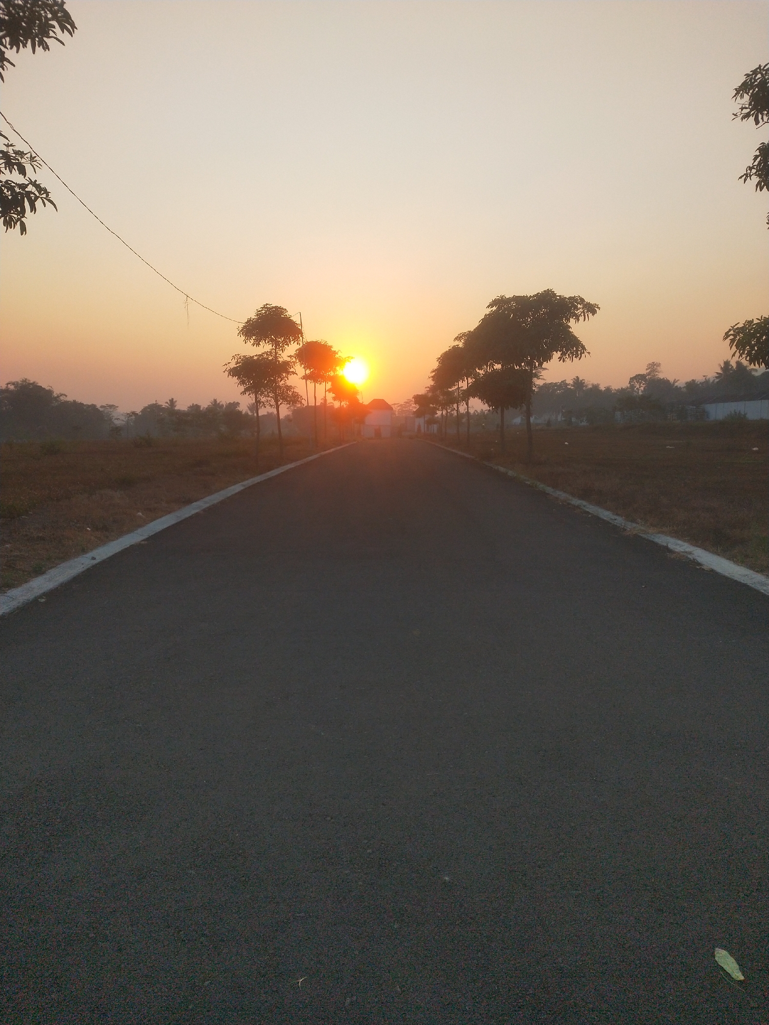 A perspective shot of a road leading towards a sunrise, with trees lining the sides. The road is paved and dark asphalt with a white concrete border. On the left side of the road, there is dry, brown grass and some bare soil. On the right side, there are several trees with green leaves, and in the distance, a few white buildings and more trees, some of which are obscured by a light haze. The sun is visible in the upper right quadrant of the image, appearing as a bright, glowing orb with orange and yellow hues, casting a warm light over the scene. The sky is a pale orange fading to a lighter shade towards the top. A thin wire, possibly a power line, stretches across the upper left portion of the frame. The overall impression is one of a quiet, rural setting at dawn. The location is identified as Margosari, Indonesia.