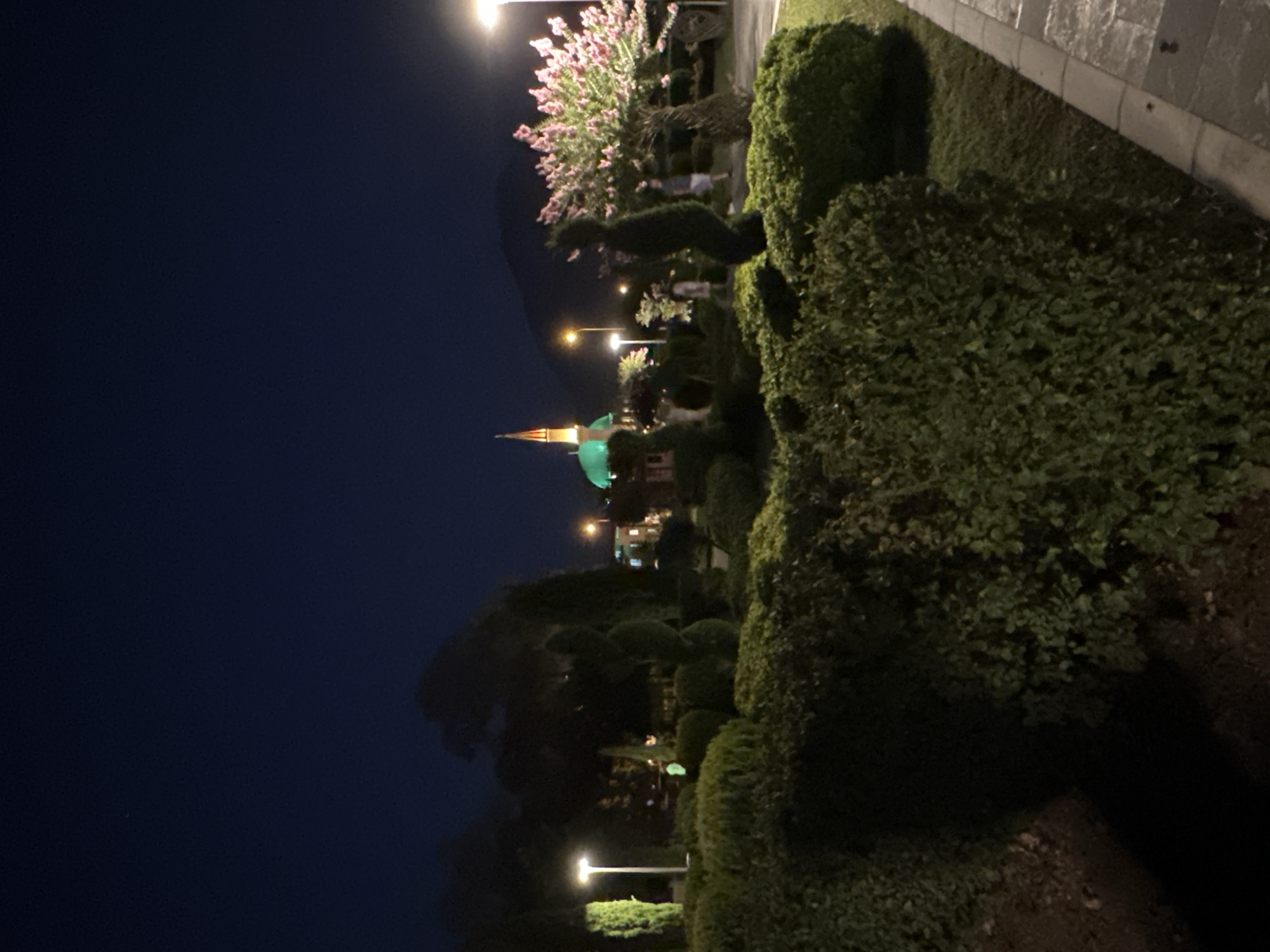 The image depicts a night scene in Fethiye, Turkey, likely within a park or garden area. A prominent mosque with a green dome and a pointed minaret is visible in the background, illuminated by green lights. To the right of the mosque, a tree with pink blossoms is lit by a nearby lamp. The foreground is dominated by meticulously manicured topiaries and dense green bushes, forming a natural landscape. Several streetlights are scattered throughout the scene, providing illumination. The sky is a deep, dark blue, suggesting it is late evening or night. The overall impression is of a well-maintained public space, possibly a tourist attraction, designed for evening enjoyment.