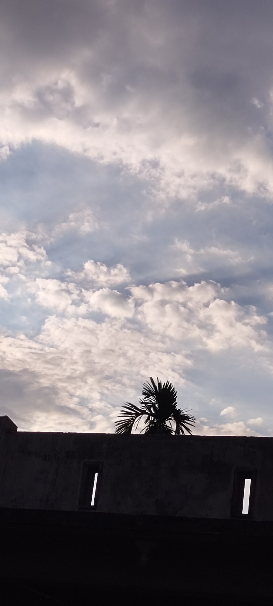 The image shows a silhouette of a palm tree against a cloudy sky, situated above a dark, textured wall with two rectangular openings. The wall appears to be made of concrete and is part of a building structure. The sky is filled with a mix of dark and light grey clouds, suggesting a partly cloudy or overcast condition. The lighting is soft, indicative of either early morning or late afternoon. The image was captured in Lhokseumawe, Indonesia, a city known for its coastal location and tropical climate, which would explain the presence of the palm tree and the type of cloud formations. There are no people or animals visible in the frame.