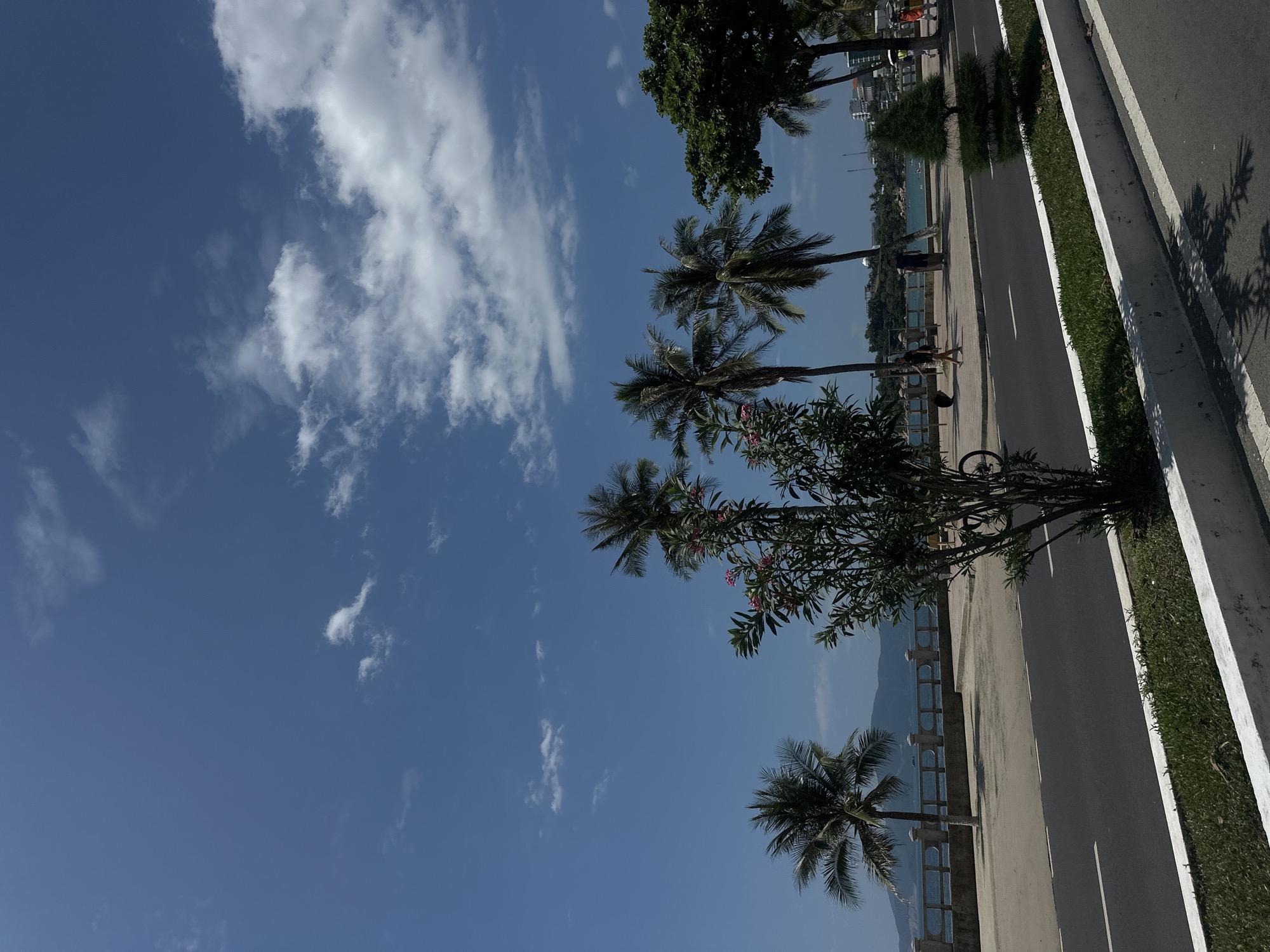 This image captures a bright, sunny day along a coastal road or promenade in Bac Nha Trang Ward, Vietnam. The scene is dominated by a clear blue sky, dotted with fluffy white clouds.
Along the right side of the frame, a paved road or pathway runs parallel to the coastline. It is marked by a prominent white line and a strip of well-maintained green grass. Strong, distinct shadows are cast by trees across the road, indicating that the sun is high in the sky, likely midday or early afternoon.
Numerous tall palm trees with green fronds are scattered throughout the image, lining the path. Other leafy green trees, some adorned with small pink blossoms, add to the lush tropical foliage. Beyond the trees and a low barrier, a serene body of water, presumably the sea, stretches out, meeting distant mountains on the horizon.
Several individuals are visible enjoying the pleasant weather. One person is seen walking along the paved path, pushing a bicycle. Other figures can be observed further down the promenade. The overall setting is that of a tranquil and picturesque seaside environment. There is no visible text in the image.