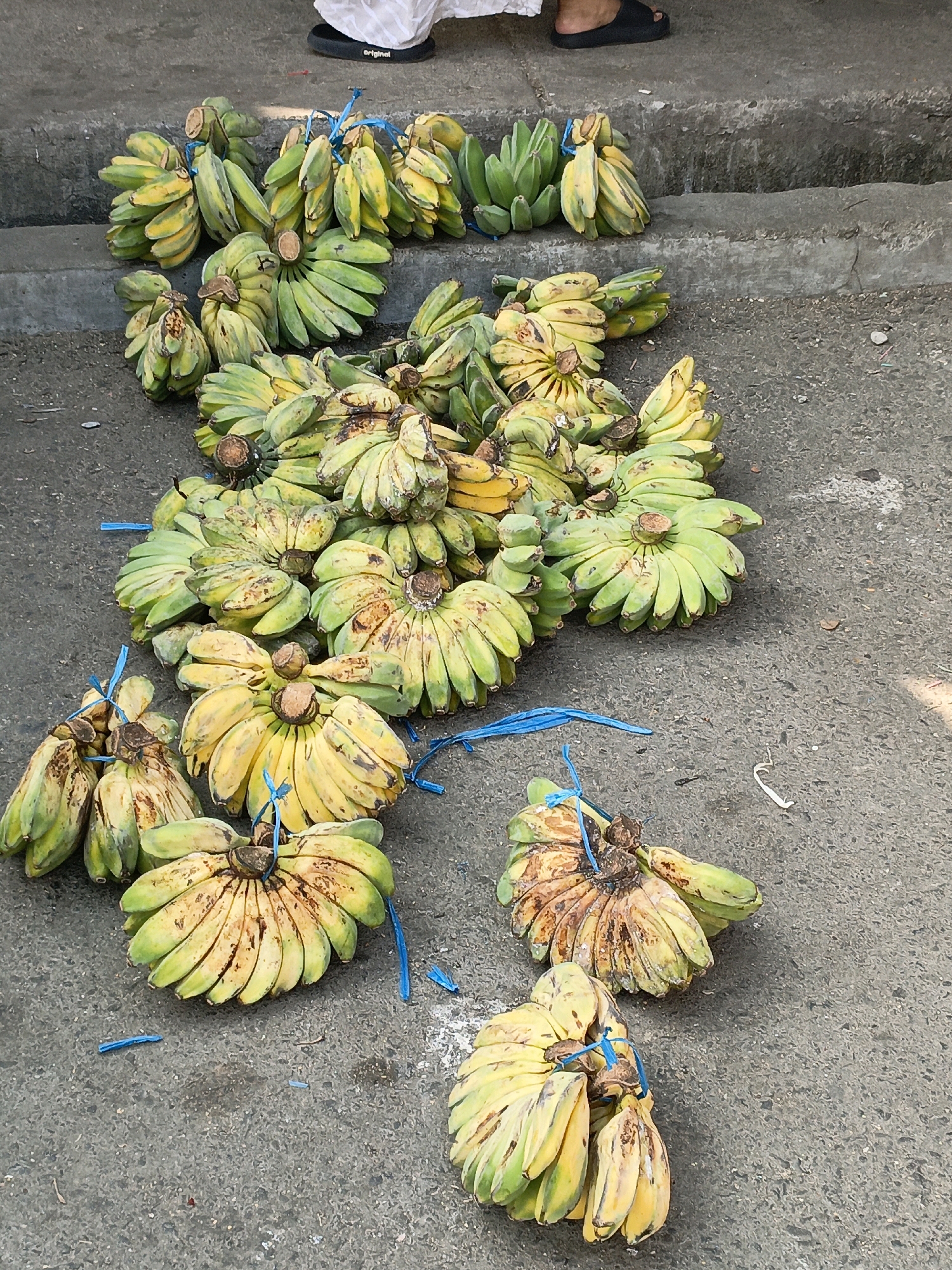 A street vendor in Bulukumba, Indonesia, has arranged a large quantity of bananas for sale on the ground. The bananas are bundled together with blue string and are in various stages of ripeness, with some appearing green and others yellow with brown spots. The ground is paved and appears to be a street or sidewalk. A person's feet are visible in the upper right corner, wearing black sandals. The overall scene depicts a typical market setting where fresh produce is sold directly to consumers.