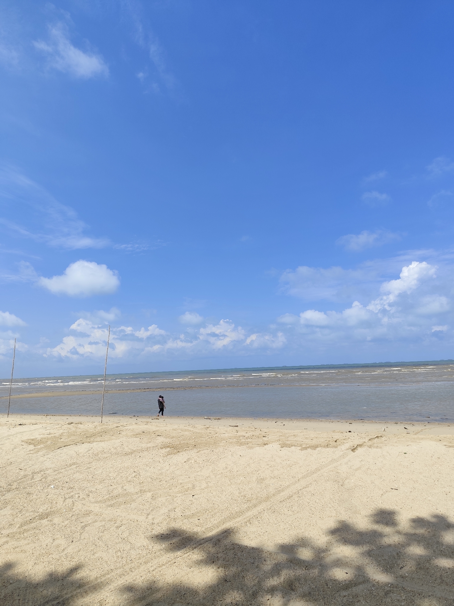 A person walks on a sandy beach with the ocean in the background under a bright blue sky with white clouds. Two thin wooden poles stand vertically in the sand. The water is calm with small waves breaking. The sand has tire tracks on it. Shadows of leaves are cast on the sand in the foreground.
