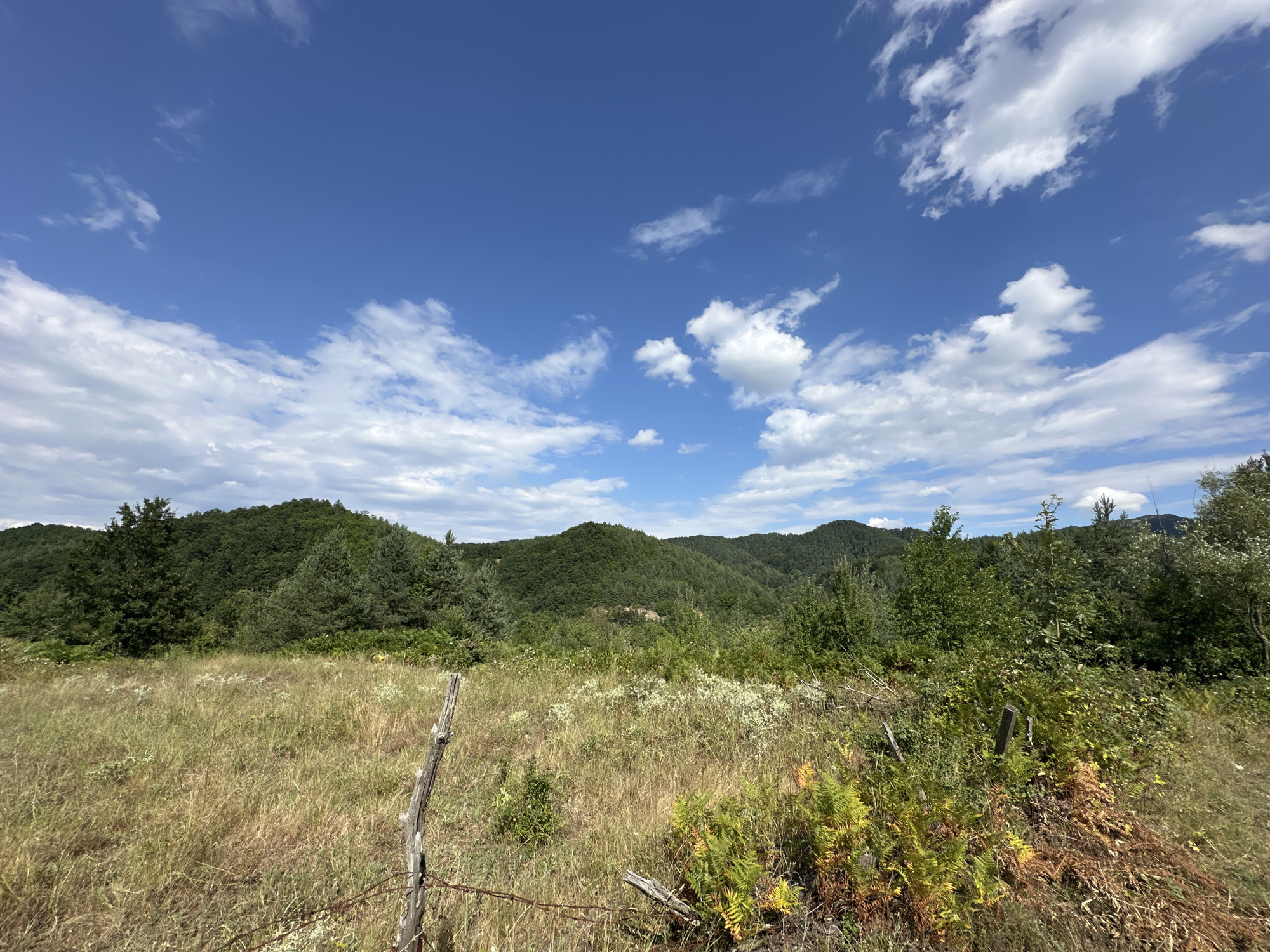 The image depicts a natural landscape under a bright blue sky with scattered white clouds. In the foreground, a dry, grassy field stretches out, interspersed with some low-lying green and brown vegetation, including ferns. A weathered wooden post with barbed wire is visible in the lower left quadrant, suggesting a boundary or fence. Beyond the field, rolling hills covered in dense green forest dominate the midground and background. The trees are predominantly coniferous and deciduous, creating a textured, verdant expanse. The overall scene conveys a sense of rural tranquility and natural beauty. The location is identified as the city of Kremen, Bulgaria.