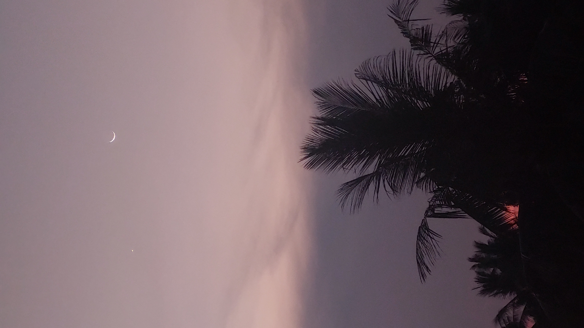 The image depicts a dusky sky over Baan Mae Nam, Thailand. A crescent moon is visible in the upper left, with a bright star or planet positioned directly below it. Silhouetted palm trees occupy the right side of the frame. The sky has a gradient of colors, transitioning from lighter purples and pinks near the horizon to a deeper purple/grey at the top. There is a dark area on the right side of the image, at the bottom.