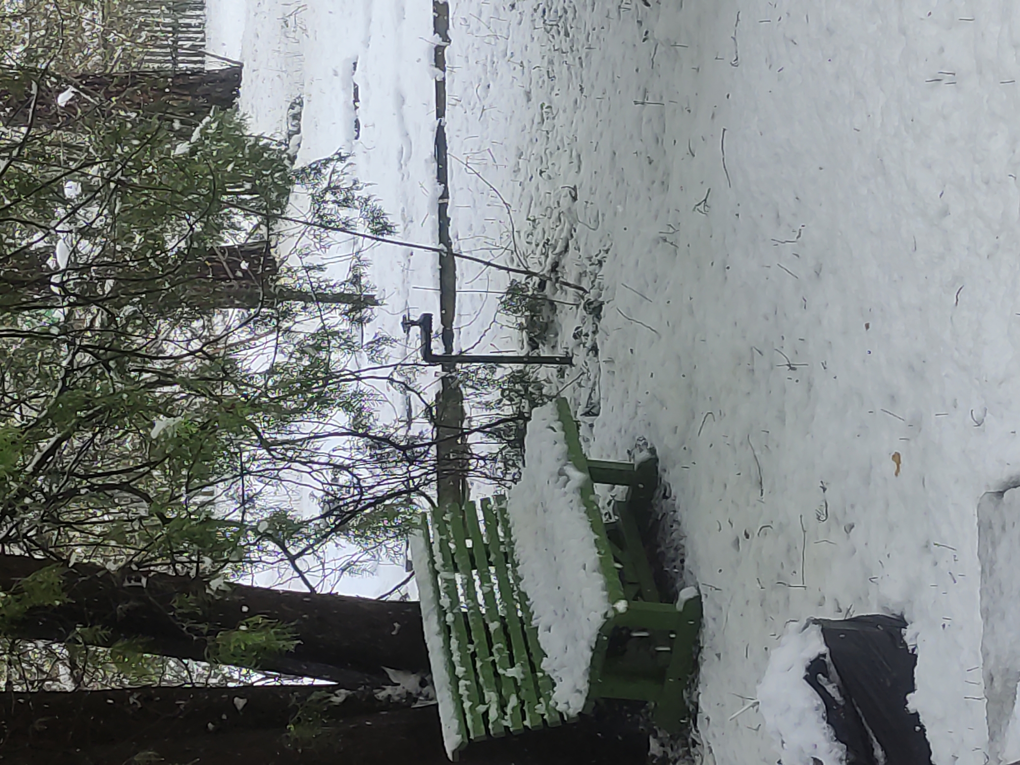 This image captures a serene outdoor winter scene in Kratovo, Russia, with the ground and various objects covered in a fresh layer of snow under an overcast sky, suggesting daytime.
The primary subject is a vibrant green wooden park bench, heavily laden with snow on its seat and backrest, positioned in the lower-left portion of the frame. To its right, partially obscured by snow, is a dark-colored container or trash can. On the left side of the image, the dark trunk and extensive branches of a large tree dominate, with some evergreen foliage still visible through the snow. Further back, a wooden fence, also dusted with snow, extends along the top edge of the scene. In the mid-ground, slightly to the right of the tree, a dark, vertical pole with an L-shaped attachment rises from the snow-covered ground.
No people or animals are visible, and no specific activity is depicted, contributing to the quiet and still atmosphere of a snow-blanketed landscape. There is no visible text within the image.