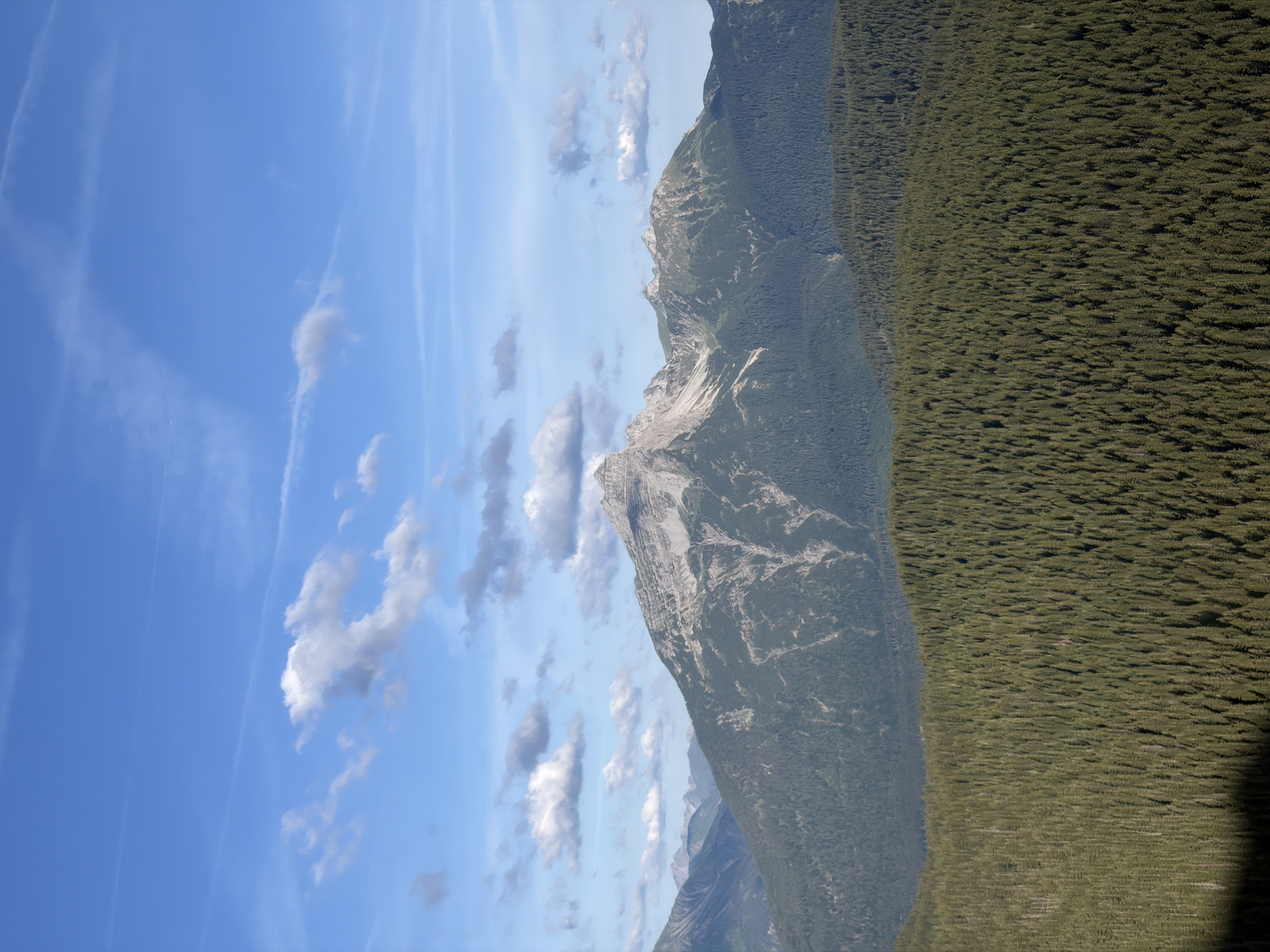 A vertical, full-shot aerial photograph captures a vast mountain range under a bright blue sky dotted with fluffy white clouds and faint contrails. The foreground is dominated by a dense, dark green forest of coniferous trees that stretches across the entire lower half of the frame, appearing as a textured carpet. In the mid-ground, a majestic, craggy mountain peak with a light gray, rocky summit rises above a darker, tree-covered slope. Further in the background, additional mountain ranges with less defined peaks recede into the distance, some appearing as soft blue outlines against the sky. The overall scene depicts a remote, natural landscape, indicative of a mountain wilderness area. The location is identified as Grainau, Germany.