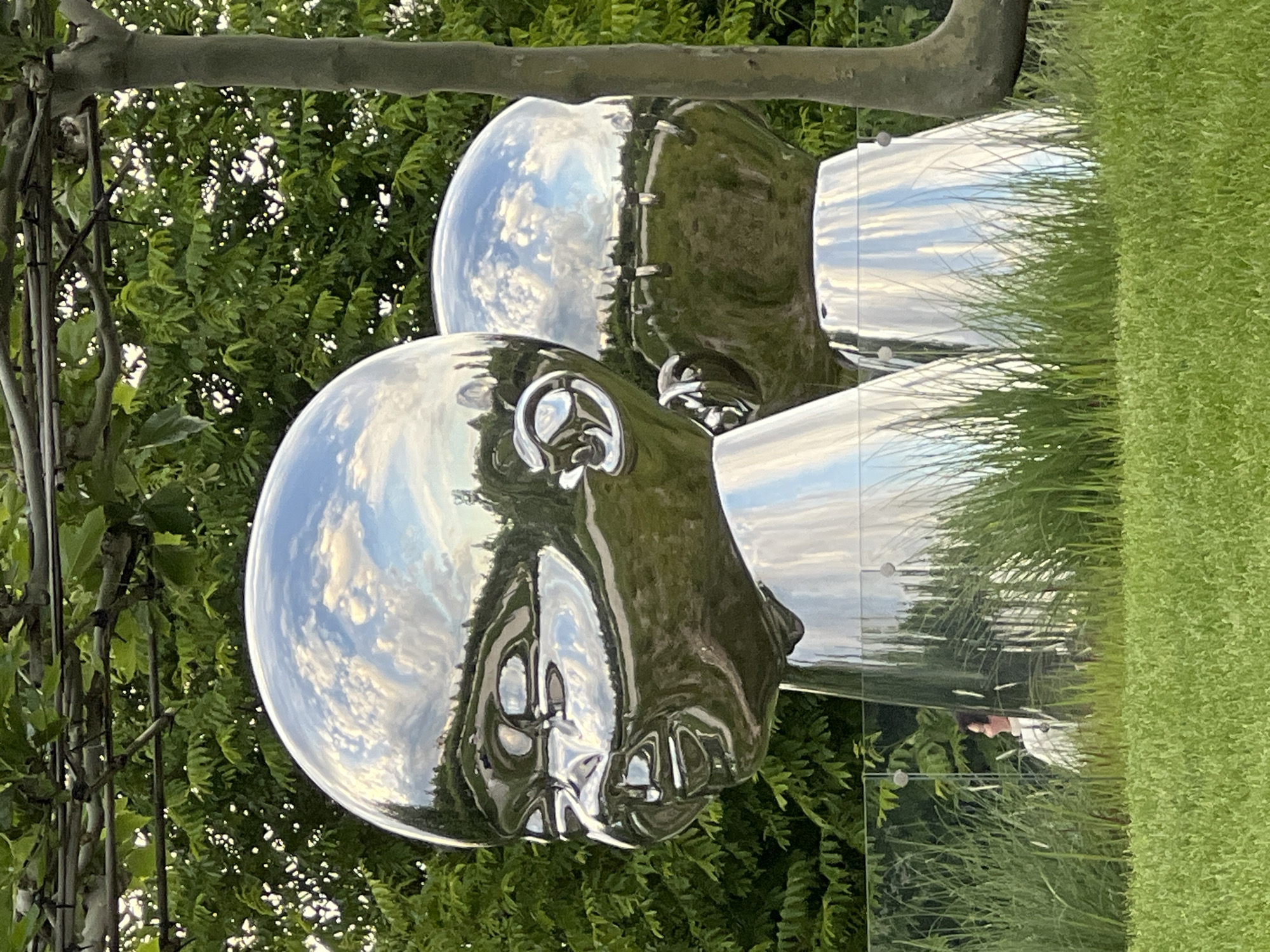 The image displays two large, highly reflective, metallic sculptures of stylized human heads positioned in an outdoor garden or park setting. The sculptures appear to be made of polished chrome or stainless steel, acting as mirrors that reflect their surroundings vividly.
The most prominent sculpture, located in the foreground, is a smooth, rounded head with simplified features for eyes, nose, and mouth. Its surface perfectly reflects a clear blue sky adorned with white clouds, as well as the dense green foliage of trees and bushes that serve as the backdrop. A second, similar head sculpture is partially visible behind and to the right of the first, also mirroring the sky and greenery.
The scene is dominated by natural elements: lush green trees and bushes form a vibrant background, while a manicured patch of green grass occupies the lower right portion of the image. A transparent panel, possibly glass or acrylic, with visible fasteners, runs vertically, subtly separating the grass from the other elements and showing a faint reflection of a person. A thick, horizontal tree branch or structural beam spans the upper section of the image.
The image captures a bright, clear daytime scene. The reflections of the sky and clouds are particularly striking on the sculptures' surfaces, suggesting fair weather. The artwork is presented as an integral part of its natural environment, likely a public art installation in Krasnodar, Russia. No visible text is present in the image.