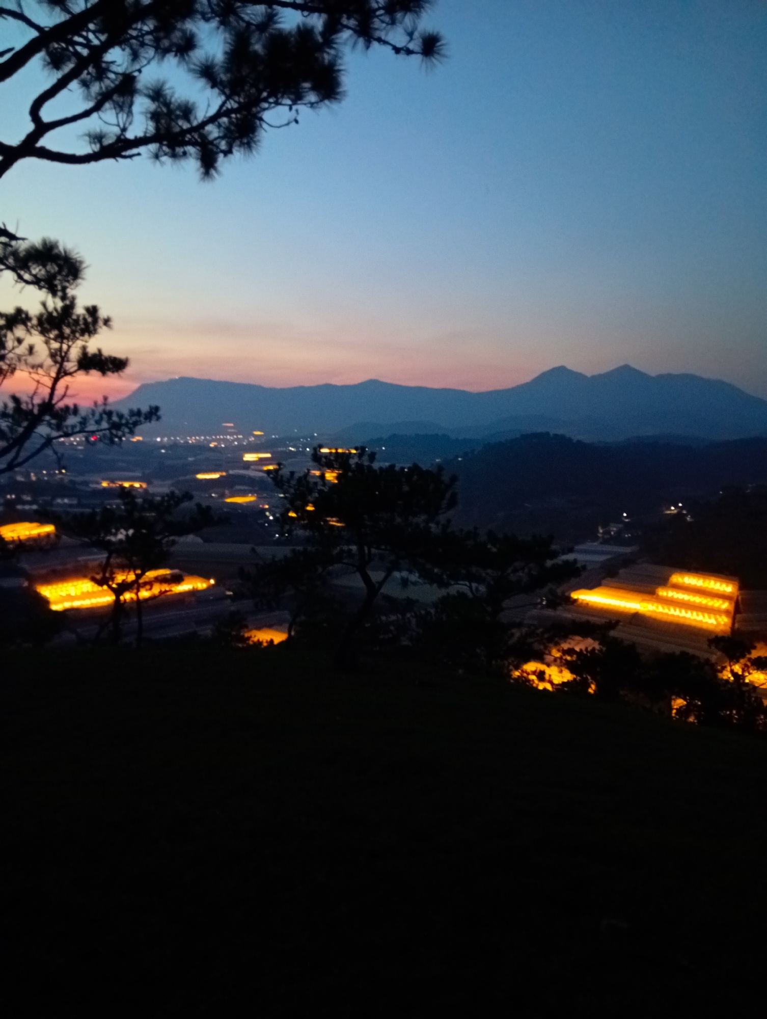 A photograph taken in Lạc Dương, Vietnam, depicts an evening landscape with a gradient sky transitioning from a deep blue to a faint orange horizon. Silhouetted mountains are visible in the distance. In the middle ground, rows of structures glow with a warm, orange light, likely greenhouses or cultivated areas illuminated at night. Silhouetted trees frame the view, with branches partially obscuring the sky at the top. The foreground is dark, obscuring details of the immediate terrain.