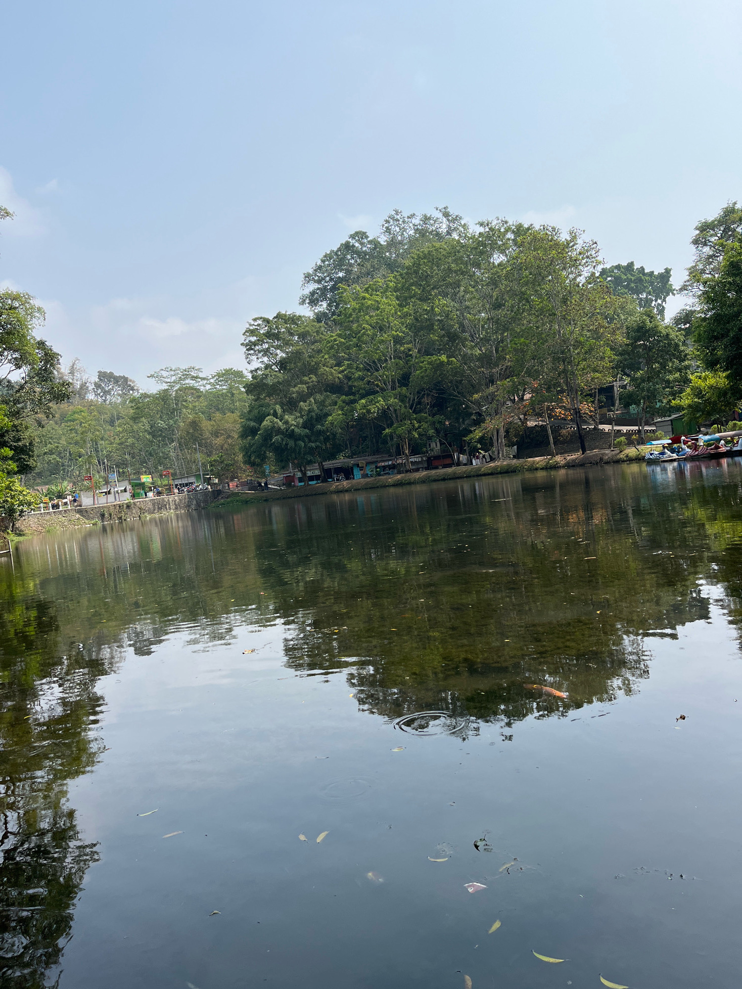 The image depicts a serene lake with reflections of lush green trees and a clear sky. In the background, there is a strip of buildings, possibly shops or food stalls, situated along the edge of the water. Several boats are docked near the shore, some of which appear to be swan-shaped paddle boats. The water is calm, with a few leaves floating on the surface and ripples indicating movement. A few small figures, presumably people, are visible walking along the path beside the lake. The overall scene suggests a park or recreational area, likely in a tropical or subtropical climate, given the dense foliage. The location is identified as Tegalwaton, Indonesia.