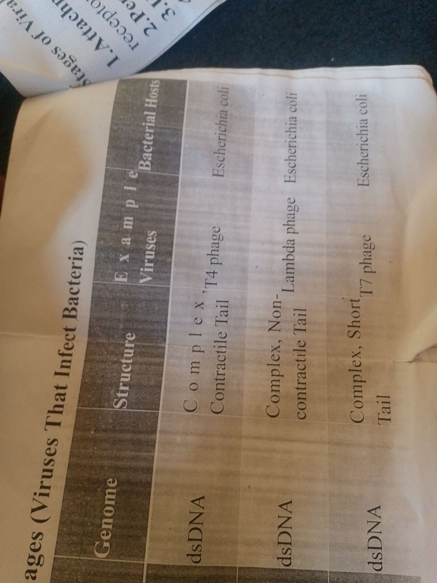 This is an image of a document, likely a textbook page or a printed chart, with text in English. The text is oriented at an angle, making it difficult to read in places. The page appears to be part of a larger document, as evidenced by the angled text and shadows suggesting it's lying on a surface.
The main subject of the visible text is a table classifying viruses that infect bacteria. The table has columns for "Genome," "Structure," "Example Viruses," and "Bacterial Hosts." Some of the listed genomes are "dsDNA," and structures include "Complex, Contractile Tail," "Complex, Non-contractile Tail," and "Complex, Short Tail." The examples of viruses mentioned are "'T4 phage," "Lambda phage," and "T7 phage." The bacterial host listed for all examples is "Escherichia coli."
Above the table, there is some text that appears to be a heading or introductory information, including "Stages of Viral" and "1. Attachment," "2. Receptors," and "3.1."
The image has a somewhat grainy quality, and the lighting suggests it was taken indoors, possibly in a dimly lit environment. There are no people or clear scene elements visible, beyond the document itself. The location context provided is Jalingo, Nigeria, but there are no visual cues within the image to confirm this location. The overall impression is of an educational or reference document being examined.