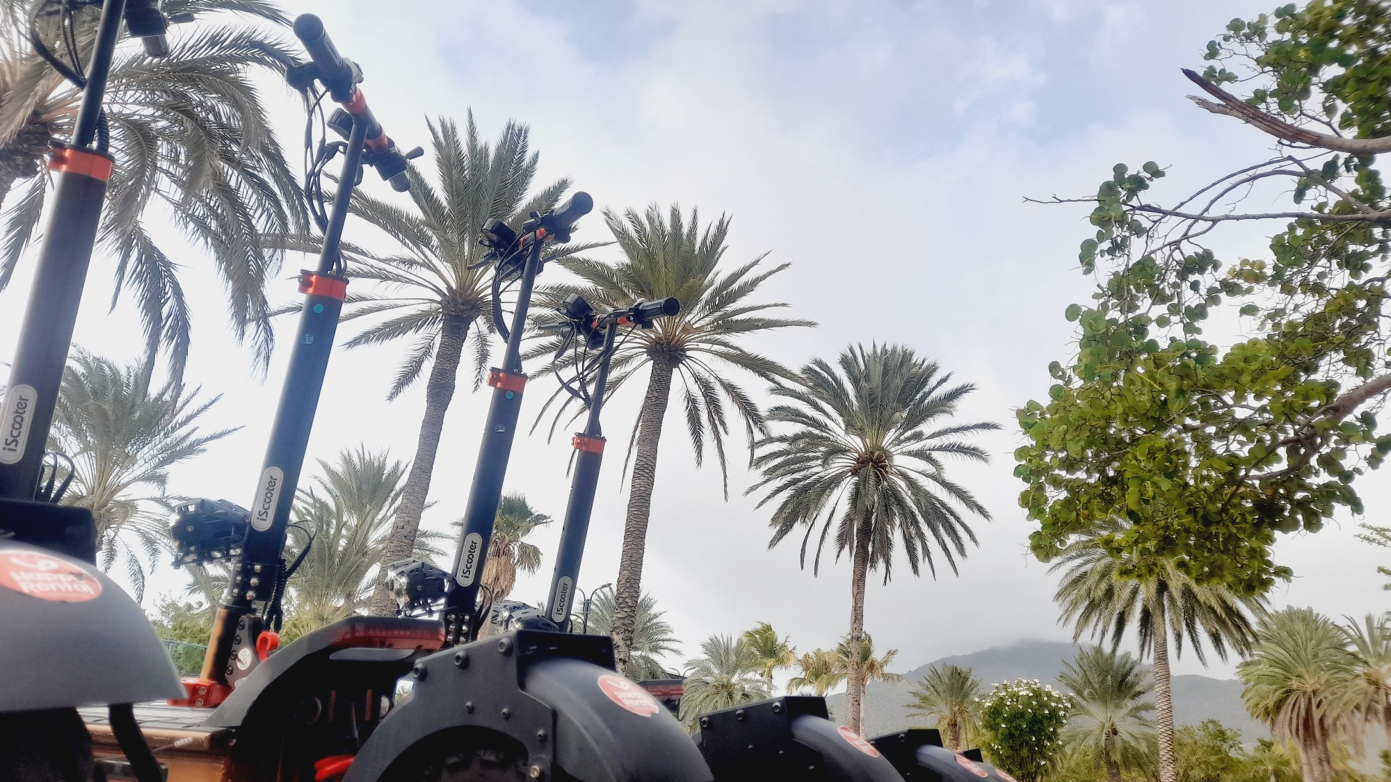In Pedro González, Venezuela, a row of parked iScooters stands beneath a cloudy sky. The electric scooters are black with orange accents and are lined up in front of several palm trees. The scene is outdoors, with the palm trees suggesting a tropical or subtropical climate. The scooters are the primary focus of the image, and they are all facing towards the left. There are no people visible in the frame. The background consists of more palm trees and a hazy mountain range in the distance. The overall impression is one of a rental service ready for use in a scenic location.