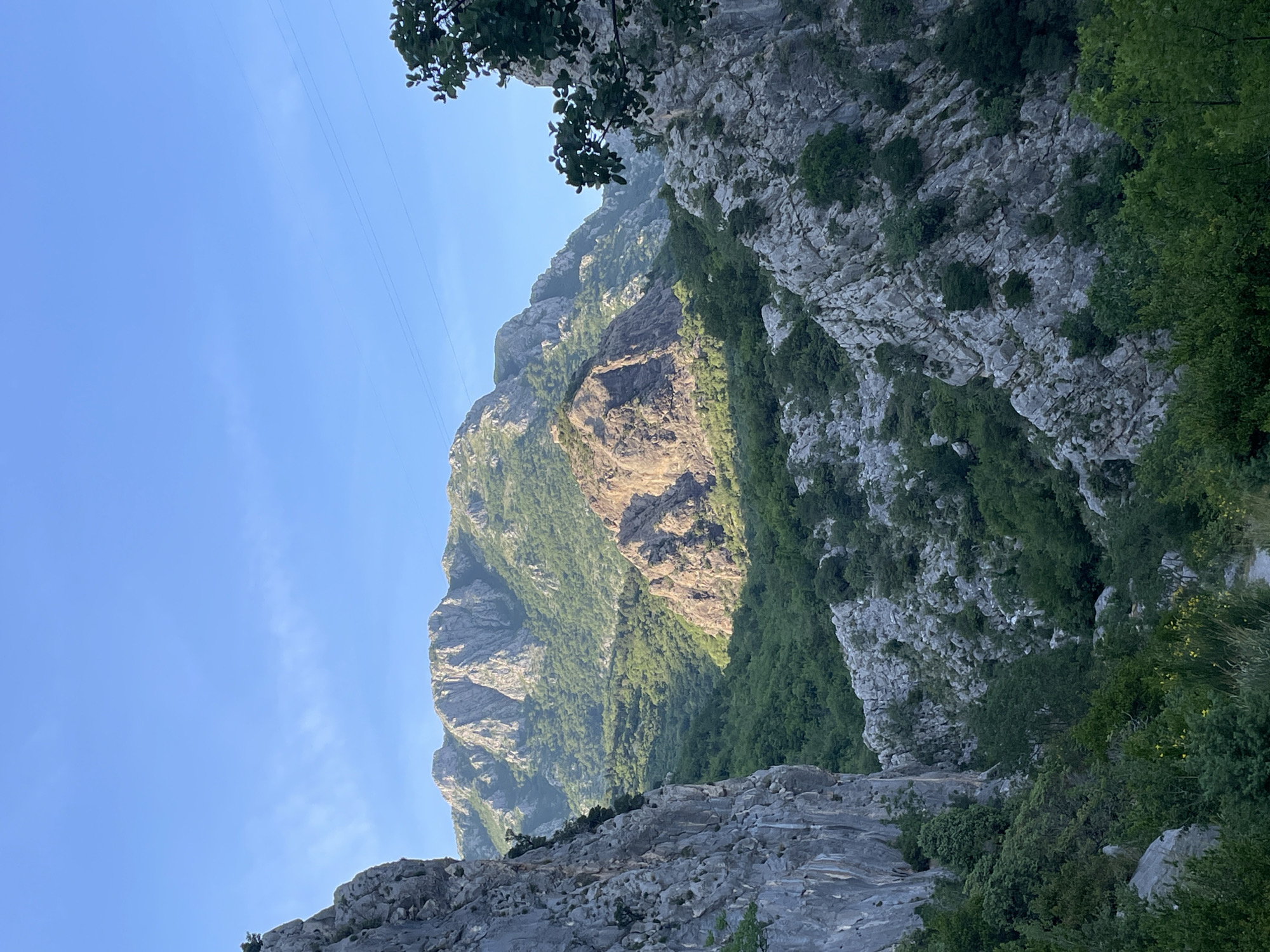 This image presents a stunning, expansive view of a mountainous landscape in Zupci, Montenegro, captured under a clear, bright blue sky. The dominant subjects are the rugged, rocky mountains and abundant green vegetation.
The upper portion of the scene is filled with a vast, clear blue sky, showing only faint traces of atmospheric haze. Several thin power lines are visible, stretching horizontally across the sky, suggesting nearby infrastructure. A dark green tree branch with foliage subtly frames the upper right corner of the image.
The mountains are characterized by their dramatic, craggy grey rock faces and steep slopes. Significant portions of the mountains are covered in lush green trees and dense shrubbery, creating a vibrant contrast with the exposed rock. The lighting indicates daylight, likely morning or late afternoon, as some mountain sections are brightly illuminated by the sun, highlighting their texture and form, while other areas, particularly deeper valleys and certain slopes, are draped in shadow, adding depth and dimension to the scene.
The immediate foreground and midground consist of similar rocky terrain, dotted with smaller green bushes and trees, blending seamlessly with the larger mountain formations. The overall impression is one of majestic natural beauty and vastness. No people or visible text are present in the image. The weather appears clear and sunny, enhancing the colors and textures of the natural environment.