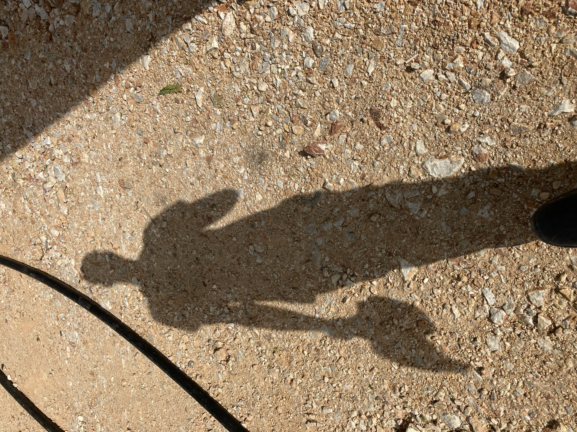 The scene depicts a gravel ground surface in Plovdiv, Bulgaria. A human shadow, cast by an individual holding a hand up or out, is visible in the central portion of the frame. The shadow extends downward and includes what appears to be a foot/shoe on the right edge. A black cable is present in the lower left corner. The gravel consists of small, light-colored stones and sand. A portion of the image, top left, is shaded. A small green plant is also visible in the shaded area.