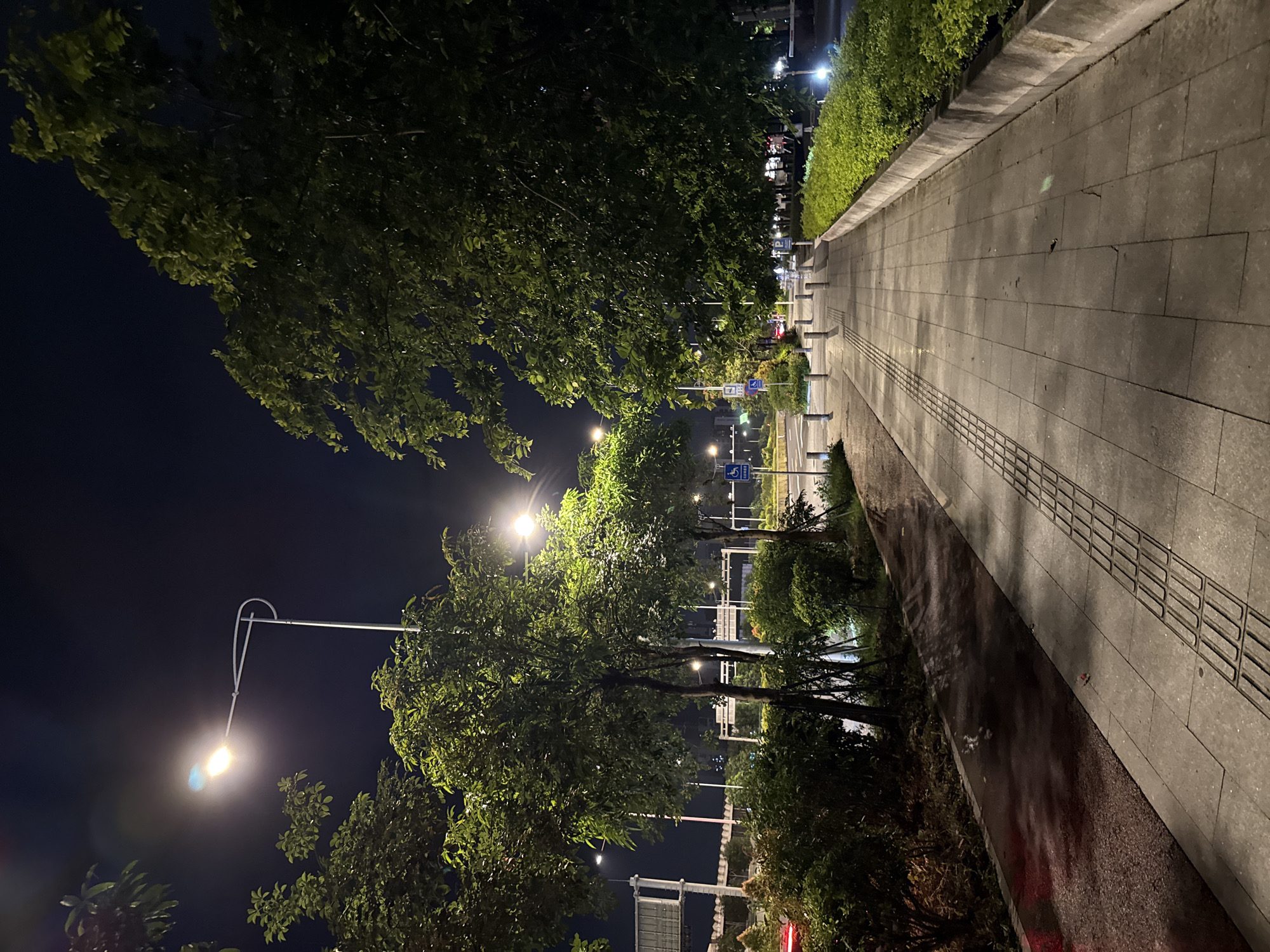 This is a nighttime photograph taken in Haizhu District, China. The image depicts a paved pedestrian walkway lined with trees and lush green bushes. Streetlights illuminate the scene, casting a warm glow on the path and surrounding foliage. The walkway is paved with large, rectangular tiles and features a tactile paving strip for visually impaired pedestrians.
On the left side of the walkway, trees with dense green leaves are visible, some of which are illuminated by the streetlights. Beyond the trees, hints of buildings and further greenery can be seen. On the right side, a low wall separates the walkway from a sloped area covered in gravel and low-lying plants.
Several streetlights are positioned along the walkway, with one prominently featured in the foreground, its light source dangling from a curved arm. In the background, traffic lights and street signs are visible, suggesting the presence of a road nearby. One sign with a wheelchair symbol is clearly identifiable. The overall atmosphere is calm and serene, typical of a quiet urban street at night. The lighting suggests it is a clear night, with no visible indications of rain or other adverse weather conditions. The time of day is clearly night due to the artificial lighting and dark sky.