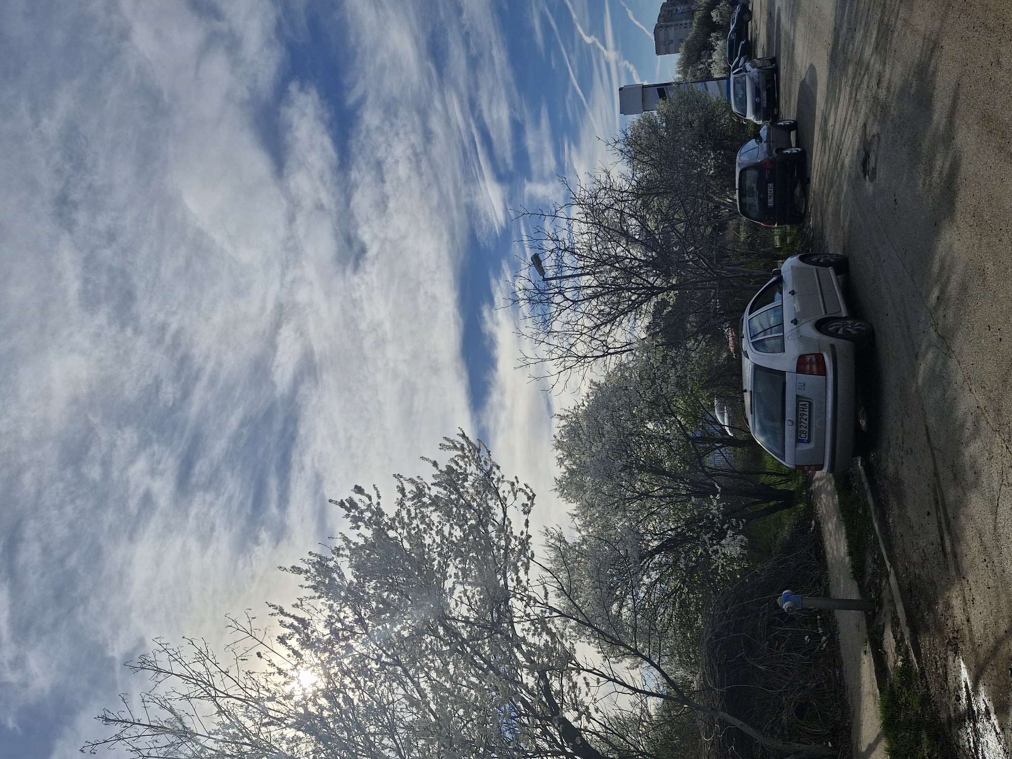 The image depicts a street scene in Sofia, Bulgaria, with a bright blue sky filled with wispy clouds and contrails. The sun is partially obscured by trees with white blossoms, suggesting it is springtime. A row of parked cars lines the right side of the street, including a silver hatchback with the license plate "CB 2729 HA". A light pole and water hydrant are visible near the sidewalk. A multi-story building can be seen in the distance. The ground appears to be a combination of paved road and concrete sidewalk.
