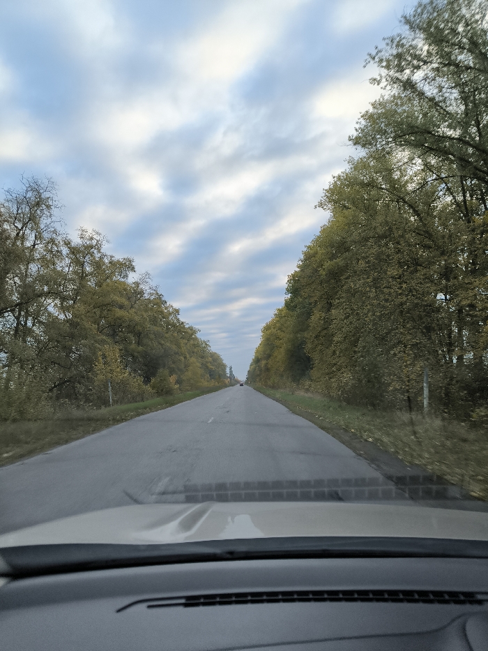 The image displays a straight, two-lane asphalt road viewed from inside a vehicle, situated near Turbiv, Ukraine. The road surface exhibits signs of wear and minor patching, extending linearly into the distance. Dense formations of trees with predominantly yellowish-green foliage line both sides of the road, forming a natural corridor. In the far distance, a single light-colored vehicle is visible, traveling in the same direction as the camera's perspective. The sky above is partly cloudy, characterized by patches of blue sky interspersed with white and light gray cloud formations. The immediate foreground shows the upper portion of a vehicle's dashboard and the lower edge of its windshield.