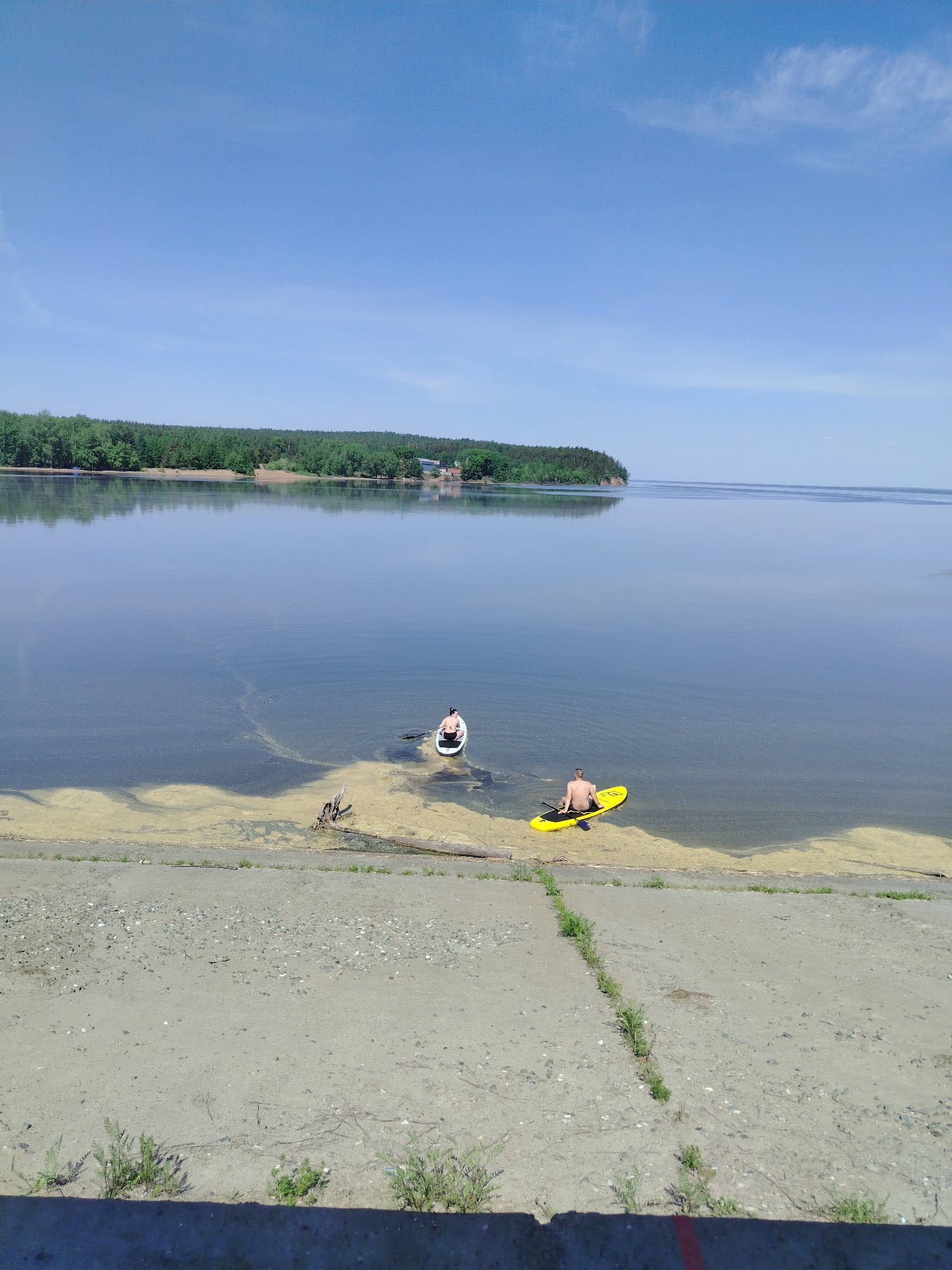 The image depicts a body of water under a clear, blue sky. In the midground, a shoreline with a dense forest is visible. In the foreground, a concrete slope or embankment leads down to the water's edge.
Two individuals are present in the water, both on paddleboards. One person is on a white paddleboard, and the other is on a yellow one closer to the shore.
The water near the shore has patches of yellowish-green algae. A few pieces of driftwood are also present near the shoreline.
The location is Noviy, Russia.