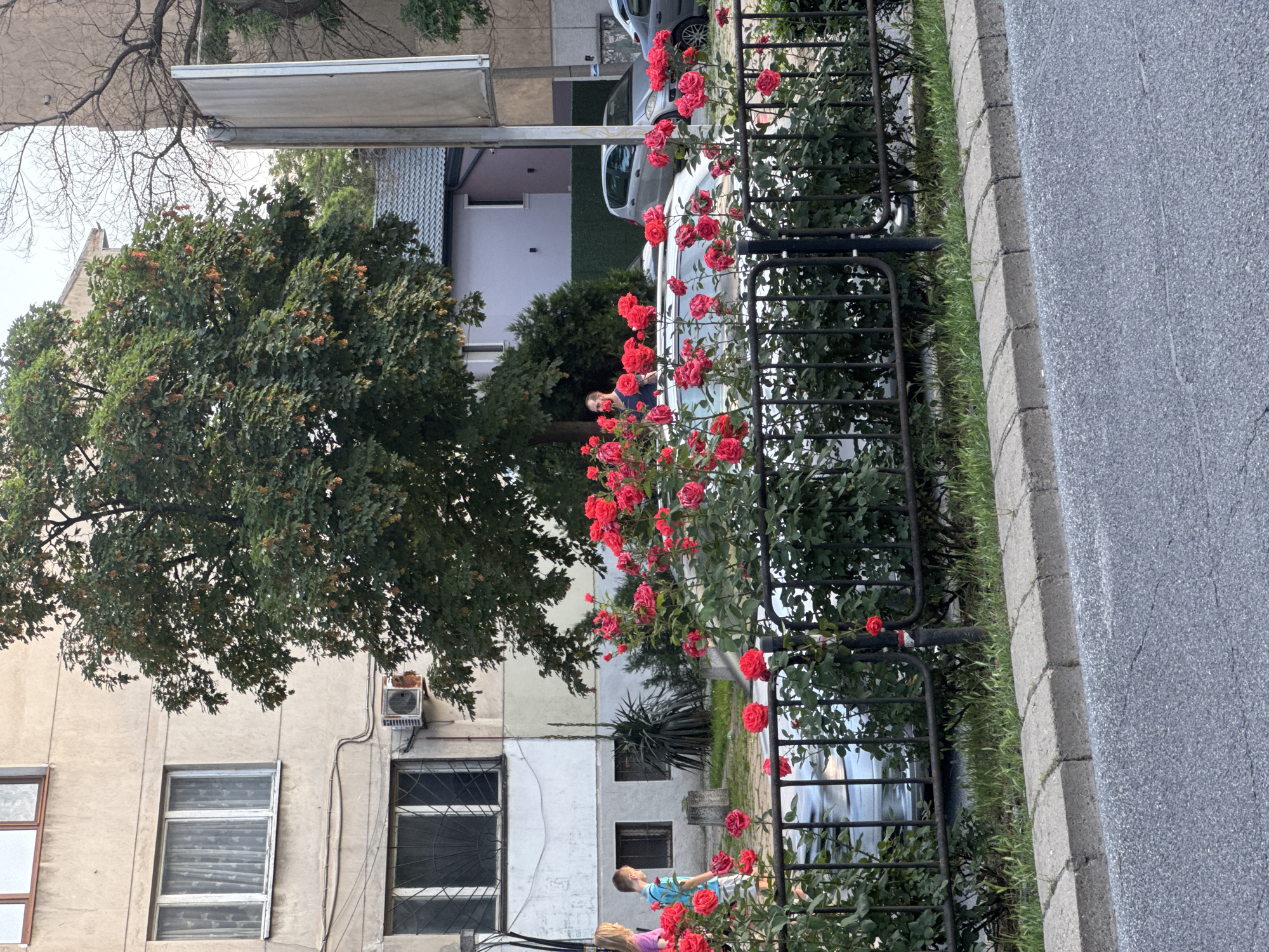 The image captures a street scene in Plovdiv, Bulgaria. A metal fence with climbing red roses separates the sidewalk and a narrow strip of grass from the road. Two children are visible near the fence; one is wearing a blue shirt and the other a pink shirt. Parked cars can be seen behind the fence. Buildings are visible in the background, with a large tree partially obscuring one. The road is paved and has a concrete curb. An older building with an air conditioning unit and barred windows can be seen to the left of the image.