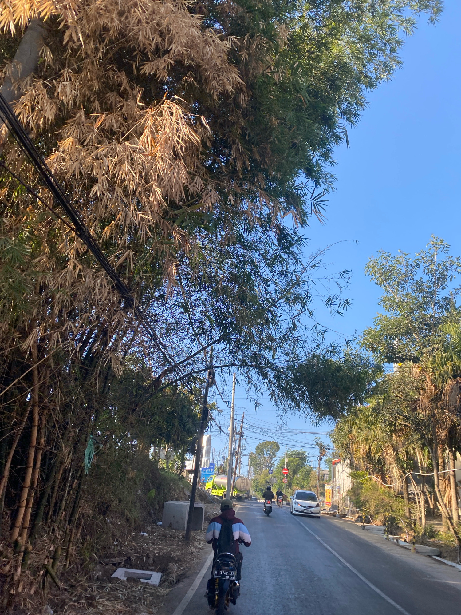 The image depicts a road scene on a clear day. On the left side of the road, there is a dense cluster of bamboo trees, some with dry, brown leaves and others with green foliage. Power lines run overhead, crisscrossing through the bamboo branches. The road itself is paved and appears to be a two-lane street. Several vehicles are visible on the road, including a white car driving away from the camera, two motorcycles also traveling in the same direction, and a yellow truck in the distance. A person is riding a motorcycle in the foreground, facing away from the camera. The right side of the road features more trees and vegetation, with some buildings and signs visible further down. The environment appears to be a semi-urban or rural area, with evidence of construction or road work on the right side of the road.