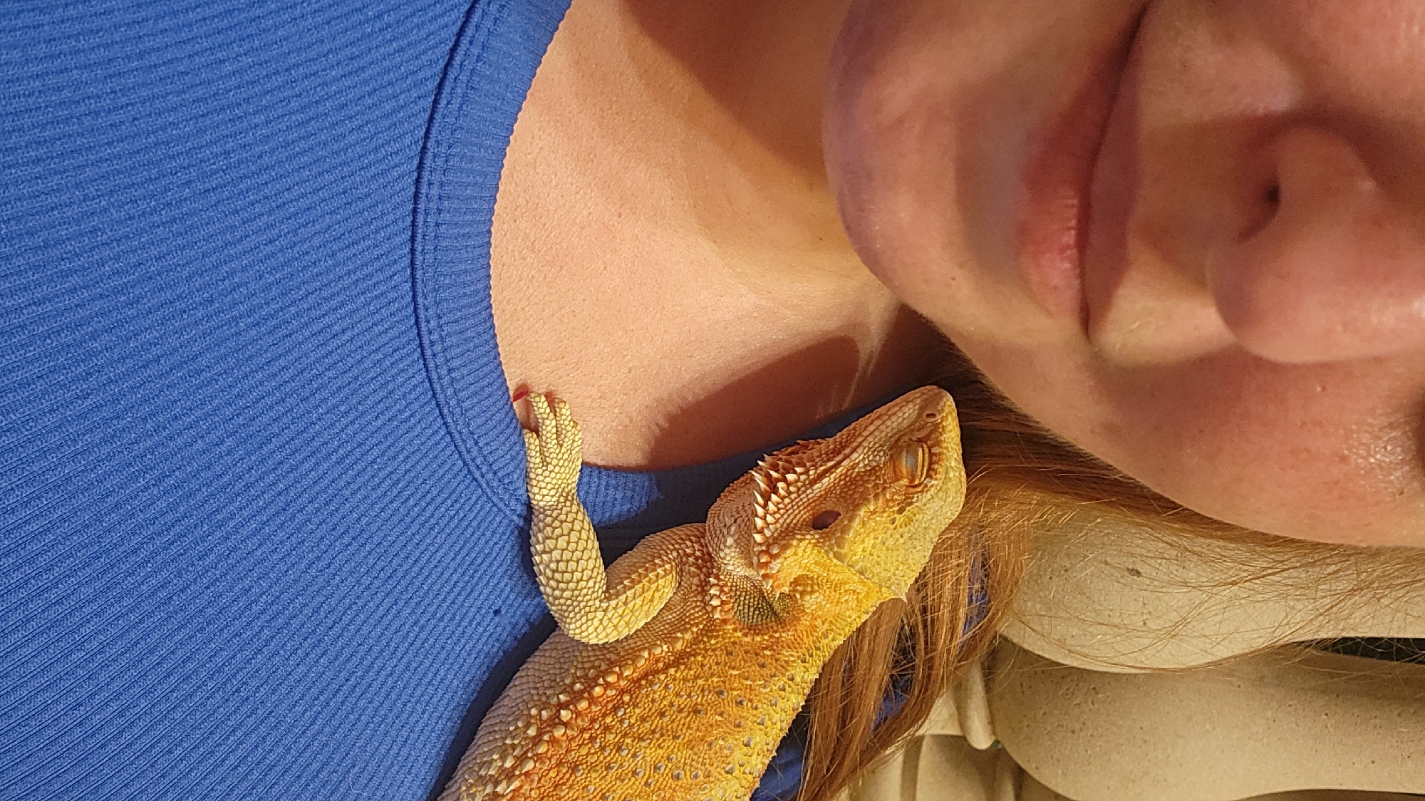 A bearded dragon rests on the shoulder of a person wearing a blue ribbed t-shirt. The person's face is partially visible, with their eyes closed. The bearded dragon is facing towards the right, with its eyes also closed. The background appears to be an indoor setting with a balustrade visible. This image was taken in Altamonte Springs, United States of America.