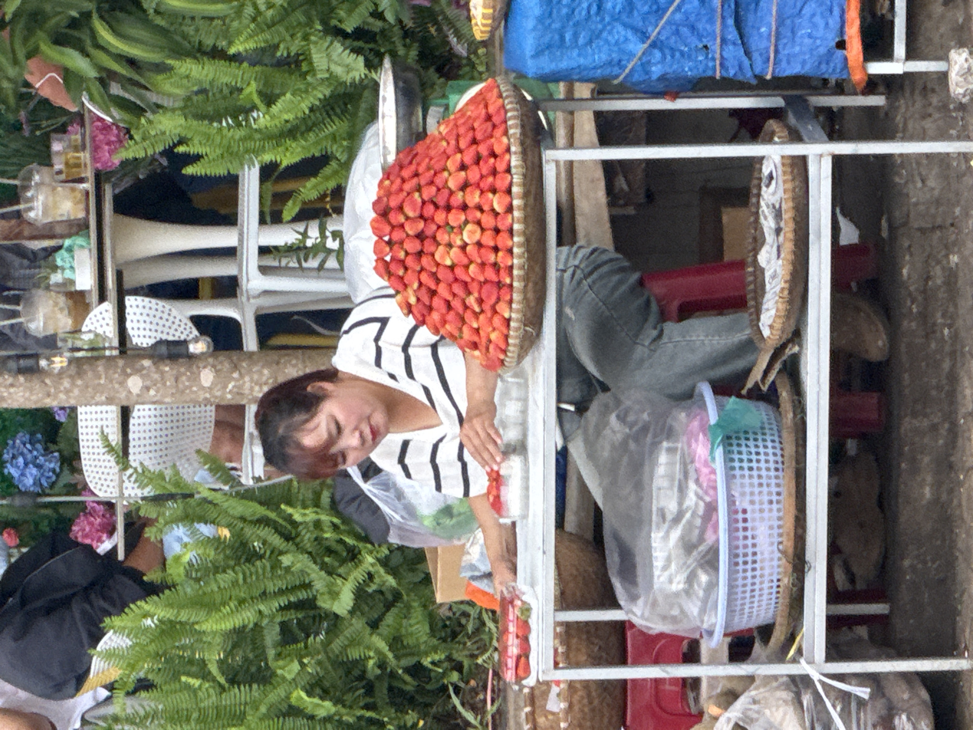A woman is pictured at a roadside stall in Da Lat, Vietnam, selling strawberries. She is wearing a black and white striped shirt and jeans, and is in the process of arranging a large pile of strawberries. The stall has a white metal frame and is covered with a white tarp. Other items visible include baskets of produce, plastic bags, and drinks. The background features lush green foliage and a tree trunk.