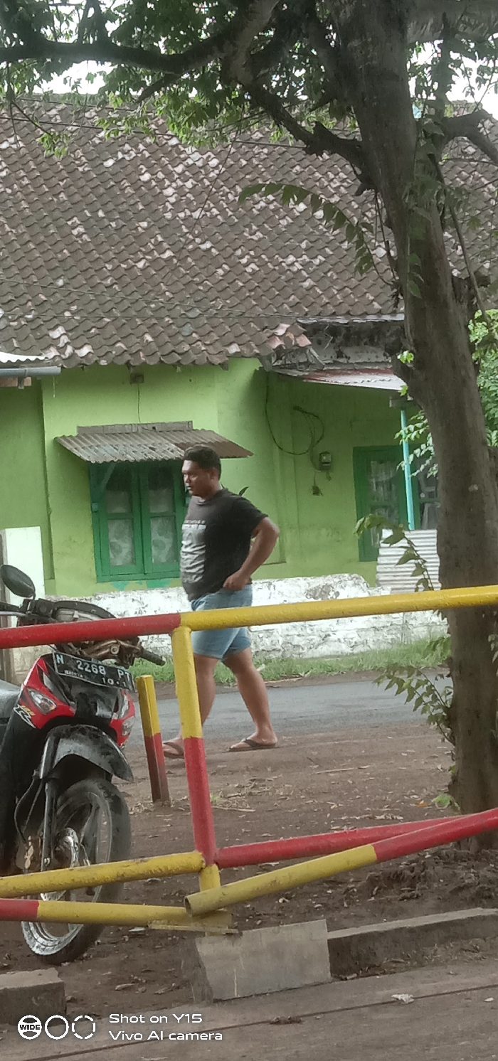 The image depicts an outdoor scene in Sebaung, Indonesia. In the foreground, a red and yellow painted metal barrier extends horizontally across the lower left and center. Partially obscured behind this barrier on the far left is the front section of a stationary red and black motorcycle with a license plate displaying "N 2268 PT". To the right of the barrier, a tree trunk with green foliage rises vertically, partially framing the scene.
In the midground, an adult male is walking from left to right. He is wearing a black t-shirt with a light graphic, blue denim shorts, and brown flip-flops. His left hand is placed on his hip. He is positioned on a narrow, dark paved path or road.
In the background, a single-story house painted a light green color is visible. The house features a green-framed window with a corrugated metal awning above it, and another green-framed door or window further to the right. An electrical meter box is mounted on the green wall. The roof of the house is composed of weathered, gray-brown clay tiles. Overhead, green tree branches and foliage partially obscure the upper portion of the roof. The ground surface in the foreground consists of dark soil and scattered debris.