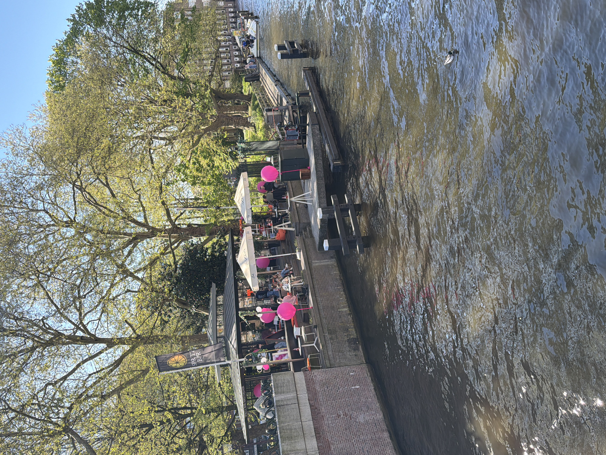 The image captures a sunny, vibrant scene along a canal, likely in Amsterdam, Netherlands. In the foreground, a bustling outdoor terrace of a bar or restaurant is visible. Several people are seated at tables, some beneath white parasols, enjoying the pleasant weather. Large, spherical pink decorations or lights are prominently featured on the terrace. Bicycles are parked near the establishment's brick base.
The bar, identified by a black banner and signs displaying "SPRITZ BAR" with an orange slice logo, extends along the canal. The water itself shows shimmering reflections of the sunlight and has visible ripples. A single white and black duck swims peacefully in the canal. Wooden docks or pilings line the water's edge.
Lush trees with light green, early spring foliage dominate the left side of the frame, indicating the season. Their branches stretch towards a clear, bright blue sky. Across the canal, in the background, rows of multi-story buildings with characteristic European architecture can be seen. The bright sunlight, clear sky, and outdoor activity suggest it is daytime, possibly late morning or afternoon. The overall atmosphere appears relaxed and inviting.