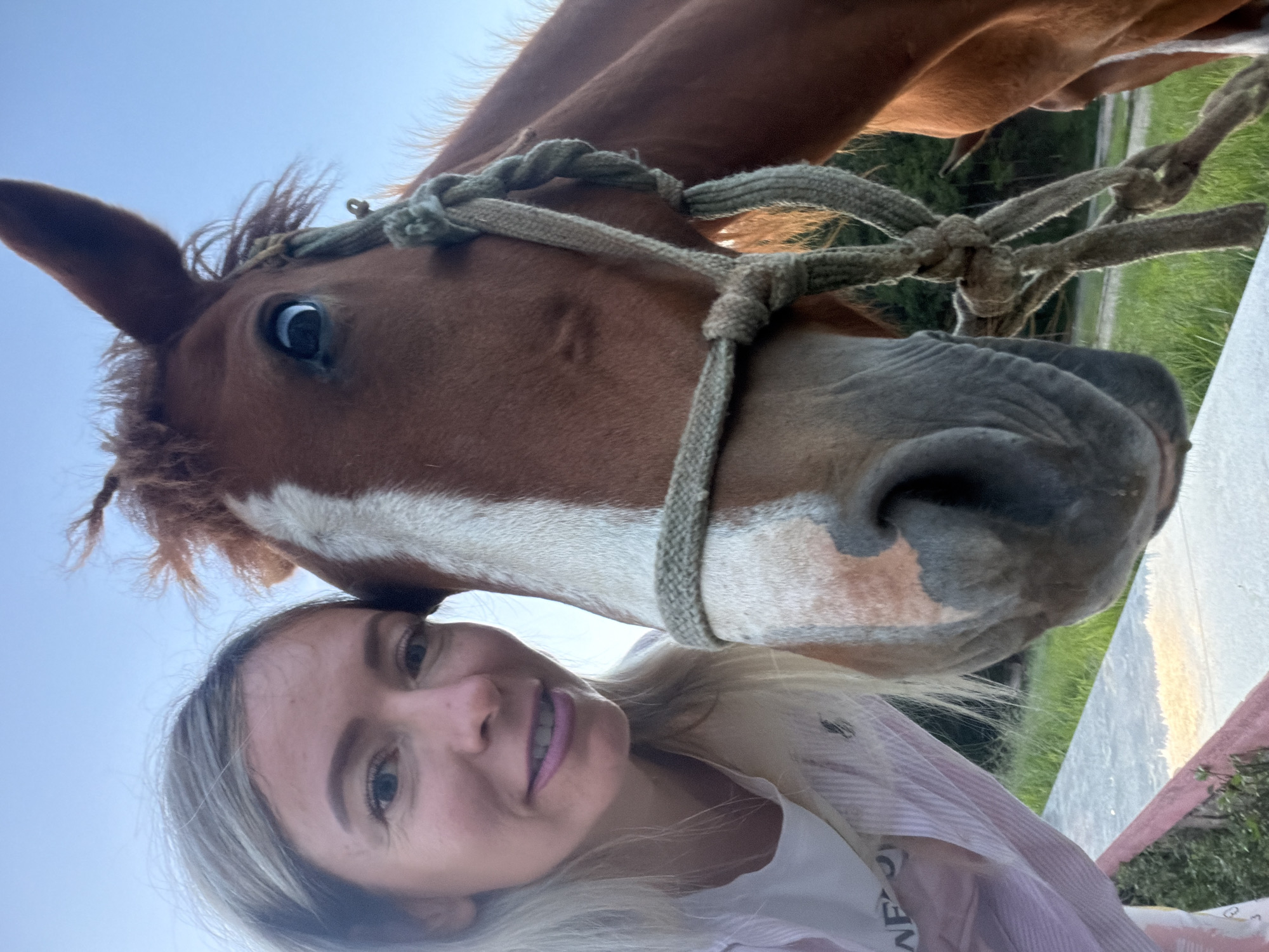 A woman is taking a selfie with a horse, with the horse's head very close to the camera. The woman has blonde hair and is smiling with pink lipstick. She is wearing a light pink and white striped shirt over a white t-shirt. The horse is a chestnut color with a white blaze on its face and is wearing a rope halter. The background shows a grassy field and a bright sky, suggesting it is daytime. The overall tone is casual and affectionate between the woman and the horse.