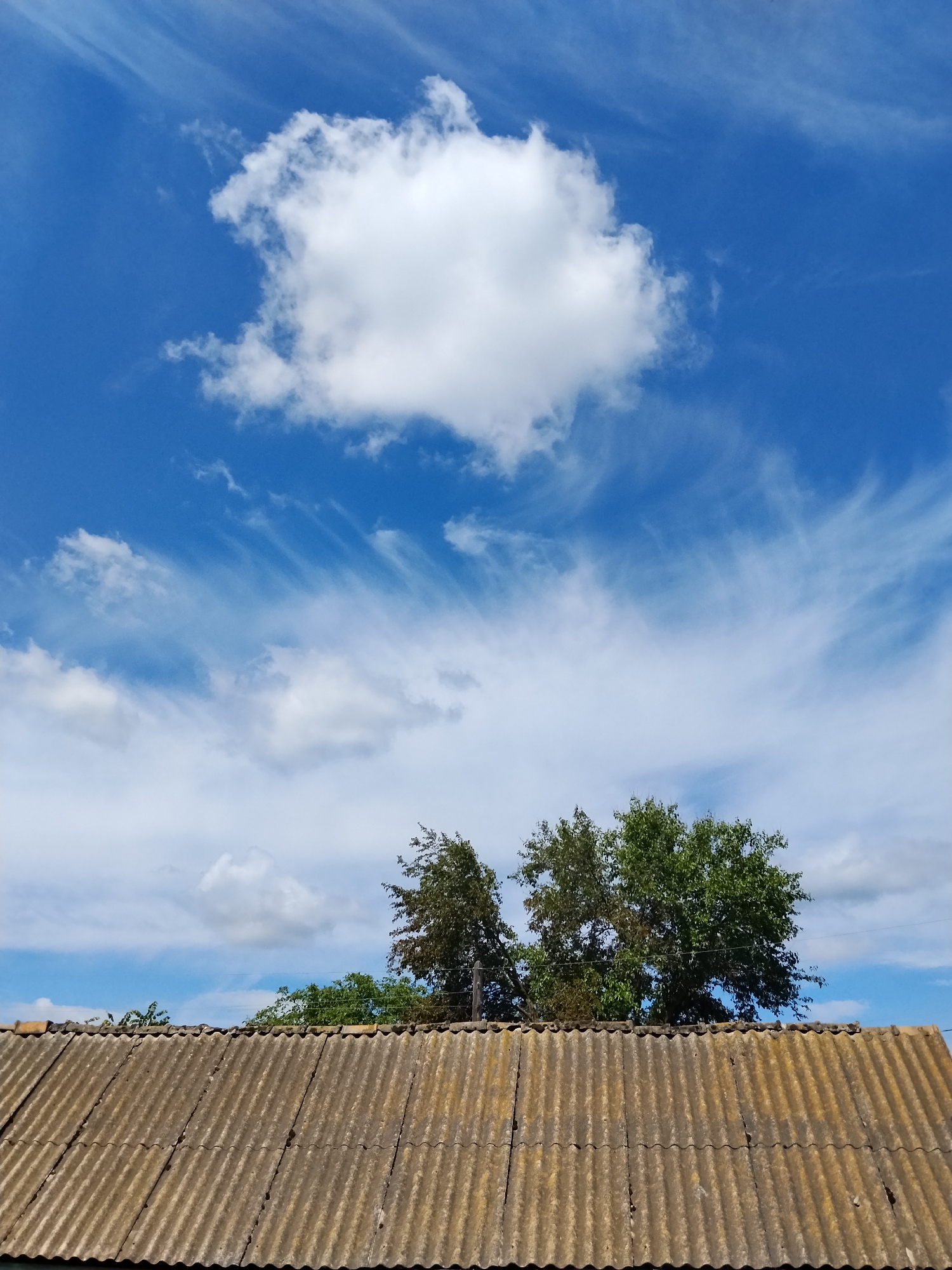 This is an eye-level, outdoor, vertical shot of a cloudy sky above a sloped, weathered, corrugated roof. The roof is composed of overlapping, textured sheets of material in a muted brown and yellow hue, exhibiting signs of age and wear. Above the roofline, the sky transitions from a bright, clear blue at the top of the frame to lighter shades with white clouds and wispy cirrus formations towards the horizon. Two trees with full green canopies are visible behind the roof, with their branches reaching upwards. The overall scene suggests a rural or suburban setting in Ustyvytsia, Ukraine, under a dynamic sky.