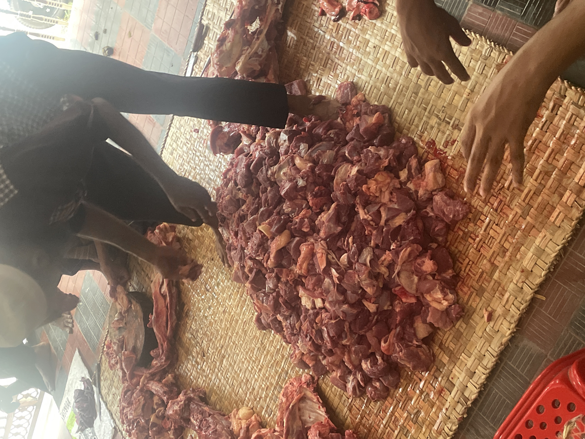 The image shows a large quantity of raw meat, likely beef, being processed on a woven mat. Several individuals are present, visible by their hands and arms, participating in the cutting and sorting of the meat. The environment appears to be an outdoor or semi-outdoor space, possibly a communal area for meat processing. Considering the location, it is possible this image was captured in Dhaka, Bangladesh, where communal meat processing is common during religious festivals like Eid-al-Adha. The mat is placed on what looks like a tiled floor. A red plastic basket is visible in the bottom right corner of the frame. There appear to be cut portions of animal carcasses adjacent to the mound of cut meat. One person visible on the left is wearing a white hat.