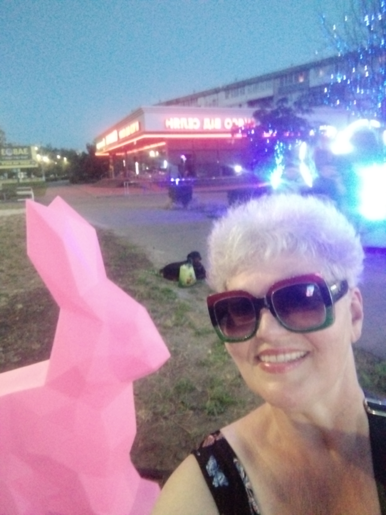 In Horishni Plavni, Ukraine, at dusk, a woman with short, white, curly hair and large, multi-colored sunglasses smiles at the camera. She wears a dark floral top. To her left, a large, pink, geometric bunny sculpture is visible. In the background, a building with bright neon lights spelling out "HARLEM BAR" is illuminated, with festive blue lights decorating nearby trees. A dog is lying on the grass in the middle ground. The sky is a dusky blue, indicating the end of the day.