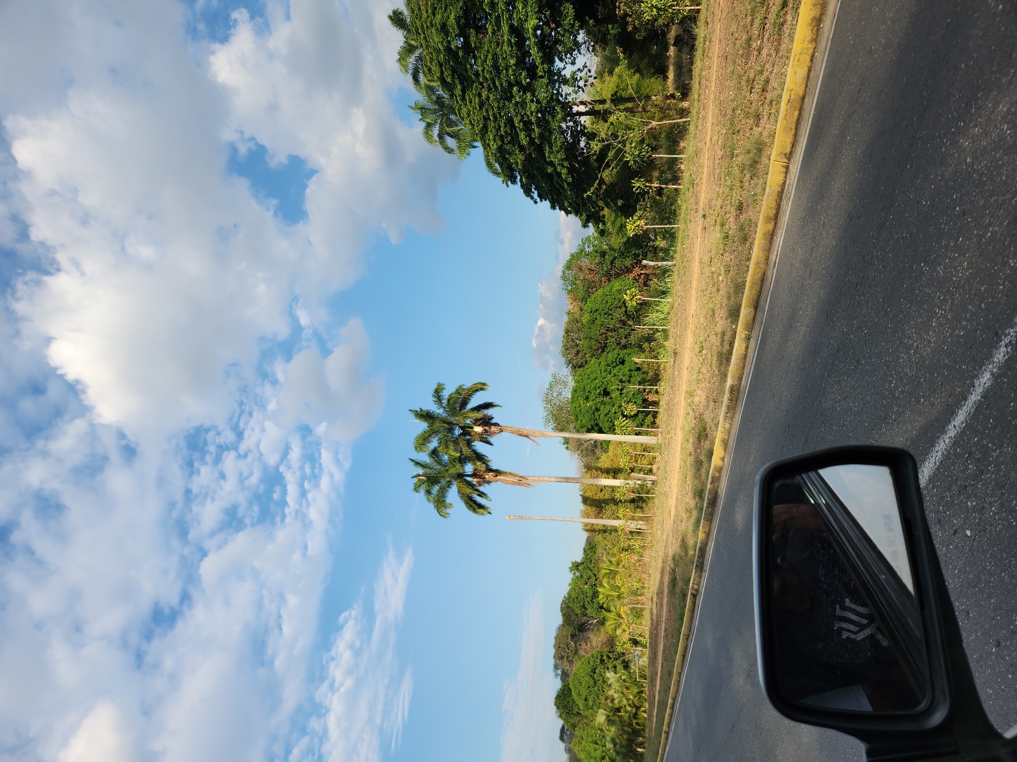 The image shows a view from a moving vehicle, likely a car, traveling on a paved road. The road is bordered by a yellow curb and grassy areas with trees and palm trees. In the sky, there are scattered clouds. A side mirror of the vehicle is visible in the lower right corner of the image. The location is suggested to be near Tinaquillo, Venezuela.