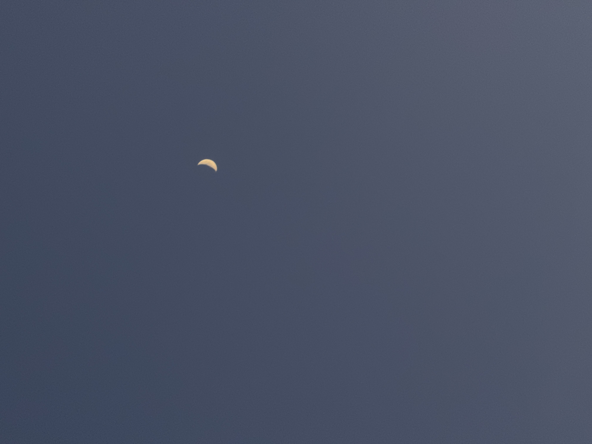A single crescent moon is visible in the upper left quadrant of the image against a dark blue sky. The scene appears to be outdoors, possibly at night or during twilight, but no specific location is discernible. There are no people, other objects, or actions taking place in the frame. The sky dominates the composition, and the crescent moon is the focal point.