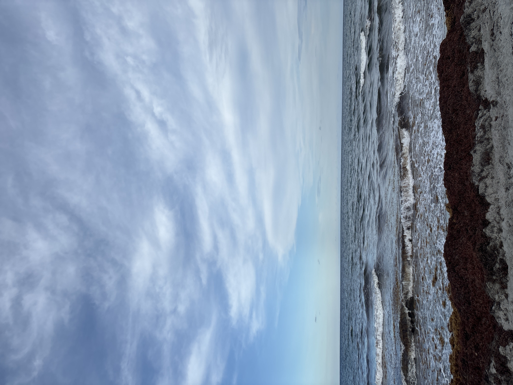 The image shows a beach scene with the ocean and sky. The sky is filled with scattered clouds, creating a textured pattern against the blue. The ocean water is dark and choppy, with waves breaking on the shore. A significant amount of dark red seaweed is washed up on the sand in the foreground, with some lighter sand visible. The scene appears to be a natural coastal environment. The image does not show any people or buildings. Without further information, it is not possible to definitively identify the specific location within Delray Beach, United States of America.