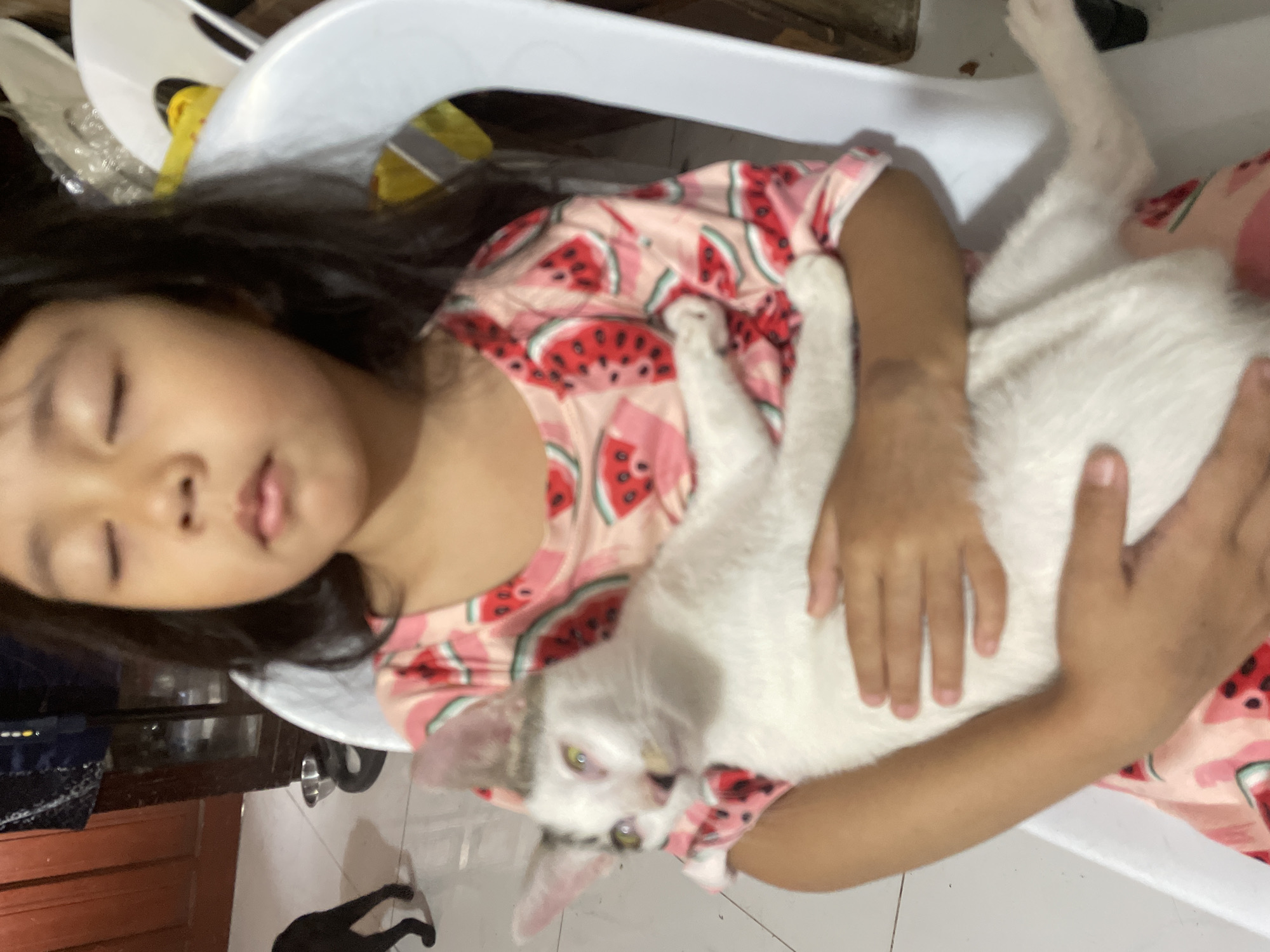 In a room in Davao City, Philippines, a young girl with closed eyes sits in a white plastic chair, holding a white and grey cat. The girl is wearing a pink t-shirt with a watermelon pattern. The cat is looking to its left with its eyes open. A black dog is visible in the background, as well as a metal bowl and a wooden cabinet. The flooring appears to be tiled.