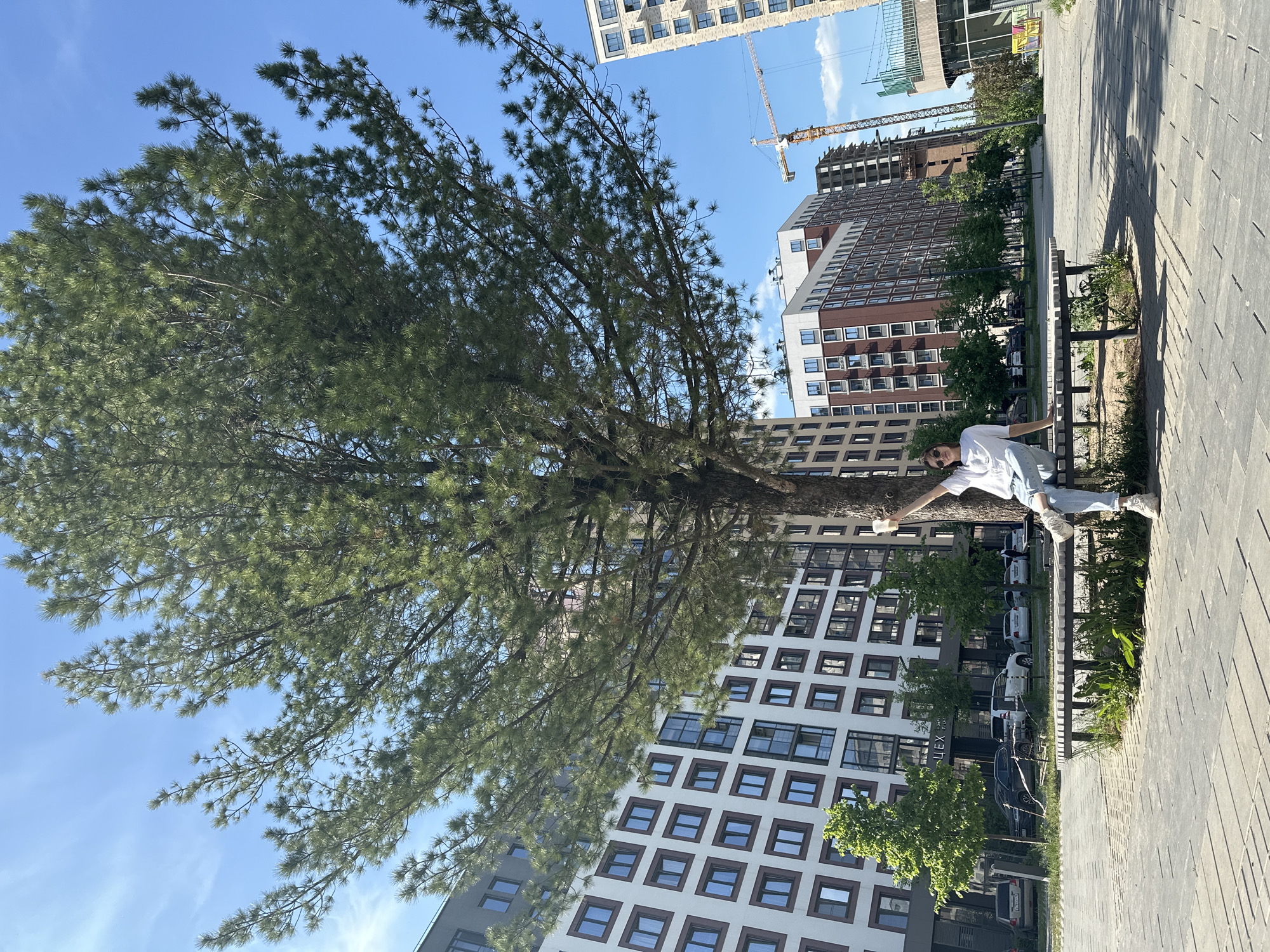 A person is lying across a metal bench in an urban setting, likely Izhevsk, Russia. The person is wearing a white shirt, light-colored jeans, and white sneakers. A large evergreen tree dominates the foreground. Behind the tree and the bench are modern apartment buildings, and a construction crane is visible in the distance. The ground is paved with concrete tiles. The sky is blue with some wispy clouds.