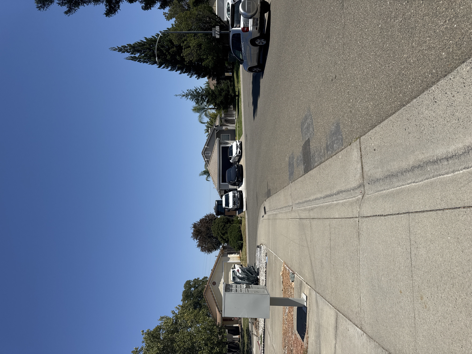 The image depicts a residential street scene in Antelope, California, on a clear, sunny day. A gray mailbox stands on the left side of the frame, in front of a property with gravel landscaping and large agave plants. A concrete sidewalk runs along the edge of the street, which is paved with asphalt. In the background, several houses are visible, each with attached garages. Cars are parked in the driveways and on the street. Specifically, a silver SUV with a spare tire on the back is parked on the right side of the street, facing away from the viewer. Further down the street, a white van and a black car are parked in front of a house. Another house on the left has a white car parked in its driveway. Tall trees, including cypress and deciduous varieties, are scattered throughout the neighborhood, and a street light is visible on the right side of the road. The sky is a vibrant, cloudless blue.
