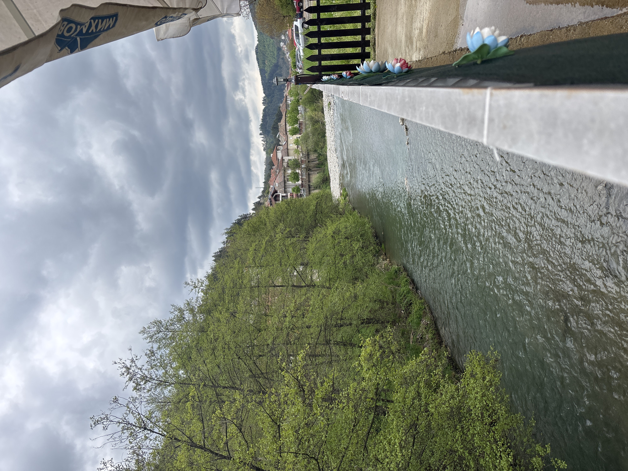 View from a bridge over a river in Zlatograd, Bulgaria. The river flows between a tree-lined bank and the base of buildings. Beyond the river, a row of buildings is visible. A black fence is present along the bridge. Artificial flowers are placed on the bridge railing. Overcast sky.
