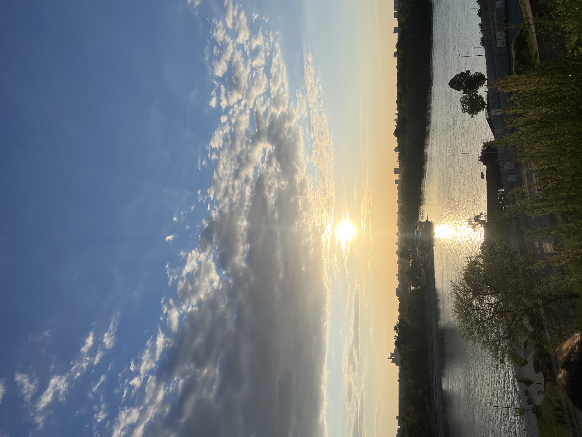 The image displays a panoramic view of a wide river during sunset in Belgrade, Serbia. The sun, a bright disc, is low on the horizon, casting a strong, shimmering reflection across the water's surface. The sky is a gradient of deep blue fading into a warm, pale yellow near the horizon, dotted with scattered white and grey clouds.
On the far bank, dense foliage forms a dark silhouette against the sky, with faint outlines of urban buildings visible through and above the trees. The near bank features a paved riverside path or road, with streetlights and some structures. Several trees with visible green leaves are present on this bank, with some branches extending into the foreground. A boat or large vessel is faintly visible on the river, illuminated by the sun's glare. The shot appears to be taken from an elevated vantage point, with a portion of a person's head visible in the lower right corner. The scene depicts a serene moment as the day ends over the urban landscape. No visible text is present.