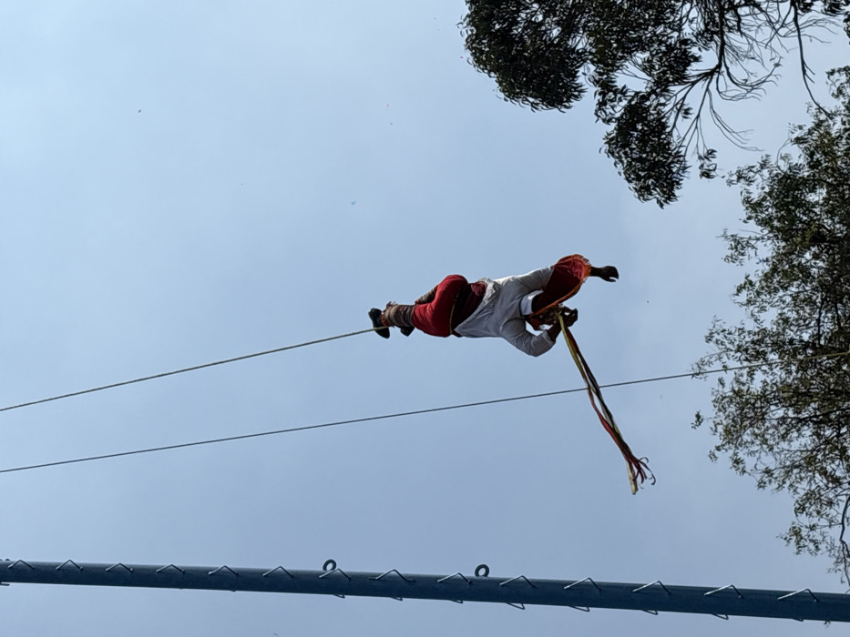 An outdoor, daytime scene under a clear blue sky depicts a single individual suspended upside down by their ankles. The person, identifiable as a "Volador" performer, wears traditional attire including a red lower garment, a white upper garment, and footwear. Multi-colored ribbons or streamers (red, yellow, green, and brown) extend downwards from their lower body. Two thin ropes are visible, attaching to the performer's ankles and extending upwards out of the frame. A tall, dark vertical pole with visible metal rungs is positioned on the far left. The upper canopy of green trees is visible in the lower right and bottom central portions of the frame. This scene depicts a performance of the "Danza de los Voladores de Papantla," commonly observed in public and tourist areas of Mexico City, such as Chapultepec Park or near the National Museum of Anthropology.