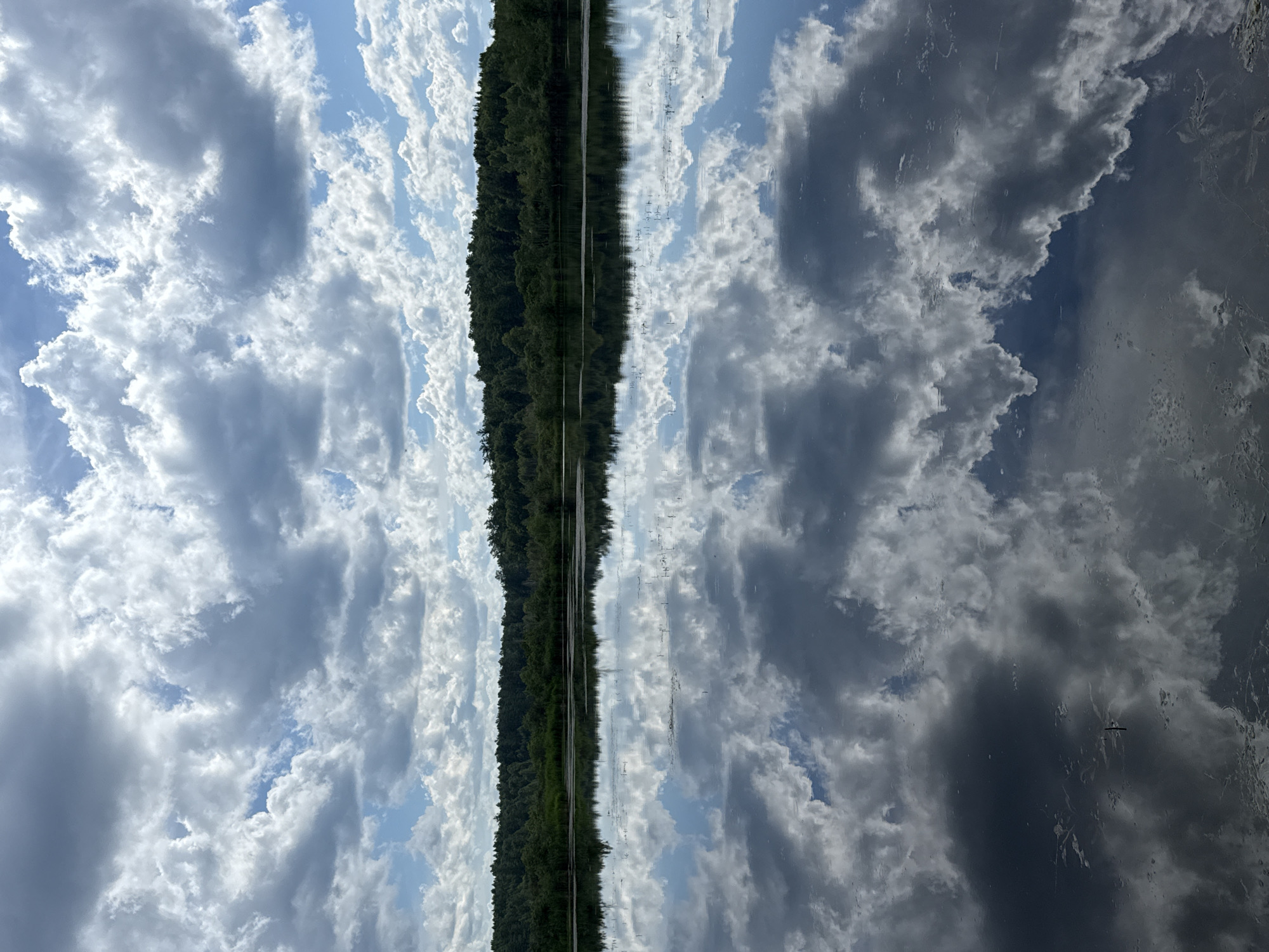 The image depicts a reflection of a treeline and cloudy sky in a body of water. The treeline appears as a dark green strip running vertically through the center of the image, creating a mirrored effect with the sky above. The sky is filled with a mix of bright white cumulus clouds and darker, more dramatic storm clouds, suggesting a dynamic weather pattern. The reflection in the water is clear, showing the inverted image of the trees and clouds. There are no visible people or text in the image. The scene suggests an outdoor setting, possibly a lake or river, given the reflection. The lighting indicates it could be daytime, with the sunlight filtering through the clouds. The overall mood is serene and natural, with the mirrored imagery adding a sense of symmetry and depth.