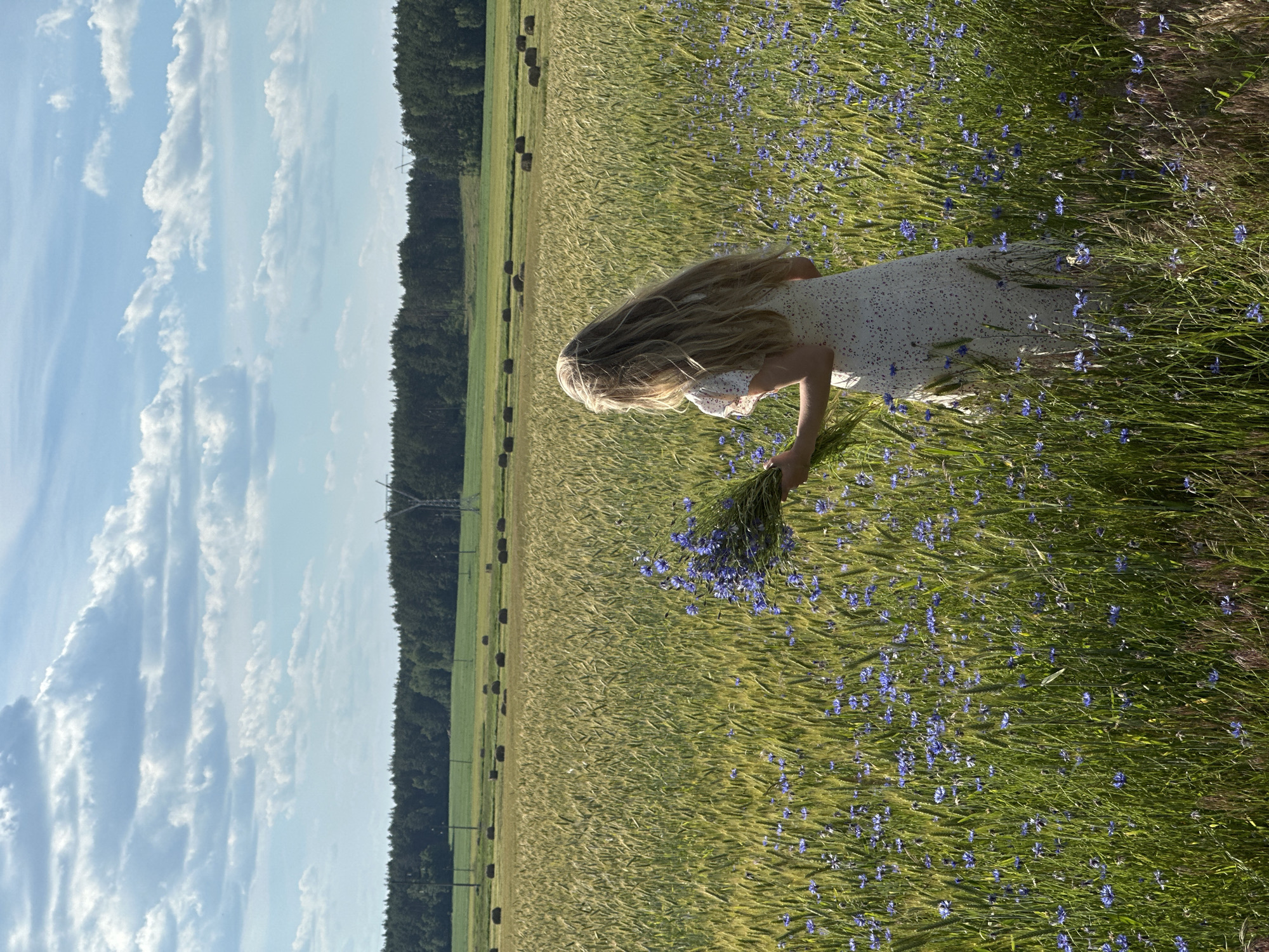 A blonde-haired individual wearing a white dress with a floral pattern stands in a field of grain and blue cornflowers, holding a bouquet of blue flowers. The individual is facing away from the camera, towards the right side of the frame. In the background, there is a dense forest line, and beyond that, a cloudy sky. Scattered throughout the field are several round bales of hay. The overall scene appears to be rural, with an indication of agricultural activity. The location is identified as Парыцкі сельскі Савет, Belarus.