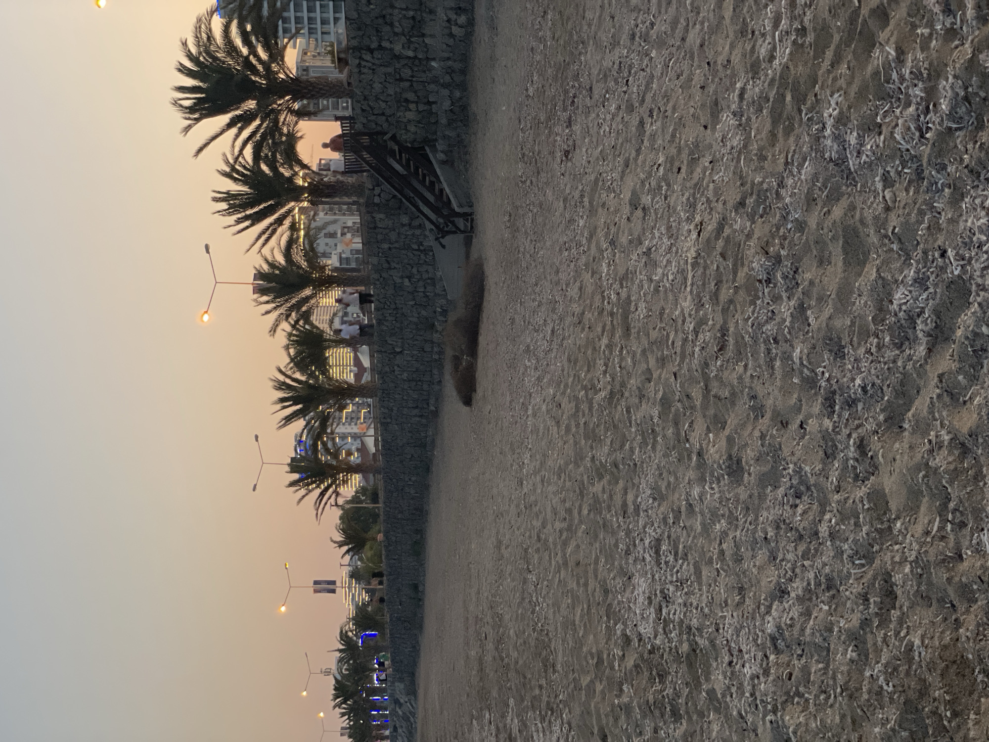 A sandy beach is in the foreground, with a stone wall and palm trees in the background. Several buildings and streetlights are visible behind the palm trees, and the sky is a light orange color, suggesting it is either sunrise or sunset. There are a few people walking on the elevated area behind the wall, and a set of wooden stairs leading down to the beach. The overall scene depicts a coastal area with a mix of natural and man-made elements.