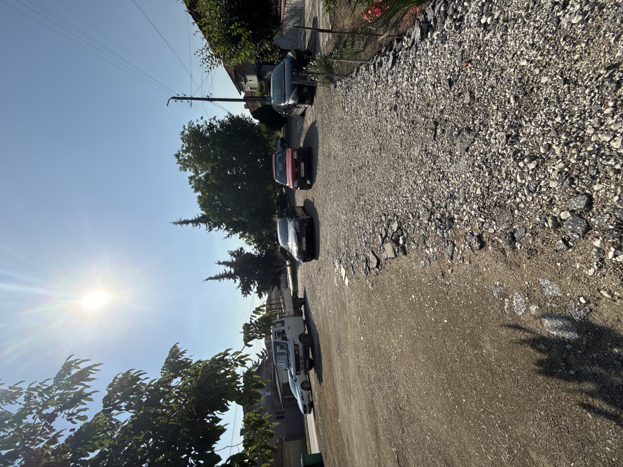 This image depicts an outdoor scene in Rogosh, Bulgaria, under bright, clear sunlight, indicating late morning or early afternoon. The foreground is an unpaved area consisting of light brown dirt and varying sizes of light-colored gravel, interspersed with fragments of broken dark asphalt. Shadows, likely cast by an unseen observer or foliage, are prominent in the lower left portion of the ground.
Several vehicles are parked on this unpaved surface. From left to right:
1. A white Mercedes-Benz T1 flatbed truck, fitted with a metal cage, is parked angled towards the right. Its license plate is "PB 6109 PX."
2. A red Nissan Micra (K11 generation) hatchback is parked facing the viewer. Its license plate is "PB 9679 TX."
3. A black BMW 3-series (E46 generation) sedan is parked facing the viewer. Its license plate is "PB 7060 TT."
4. A black Peugeot 307 or similar hatchback/sedan is parked facing the viewer. Its license plate appears to begin with "PB 90XX XX."
Further to the left and rear, a white sedan, possibly a Volvo S40 or V50, is partially visible, parked perpendicular to the main row of vehicles. Its license plate starts with "PB 08XX XX." A green waste bin is situated next to this white car.
The scene includes diverse vegetation. A large tree with dense green foliage partially obscures the sun in the upper left. Another large deciduous tree is centrally located behind the parked cars. Scattered coniferous trees are visible in the mid-ground and background. Along the right edge, a wire mesh fence borders a garden area containing bushes and red-flowered plants.
In the mid-right, a dark utility pole with multiple overhead wires extends upwards. Several residential buildings with traditional red-tiled roofs are visible in the background, primarily on the right side. No individuals are present in the image.